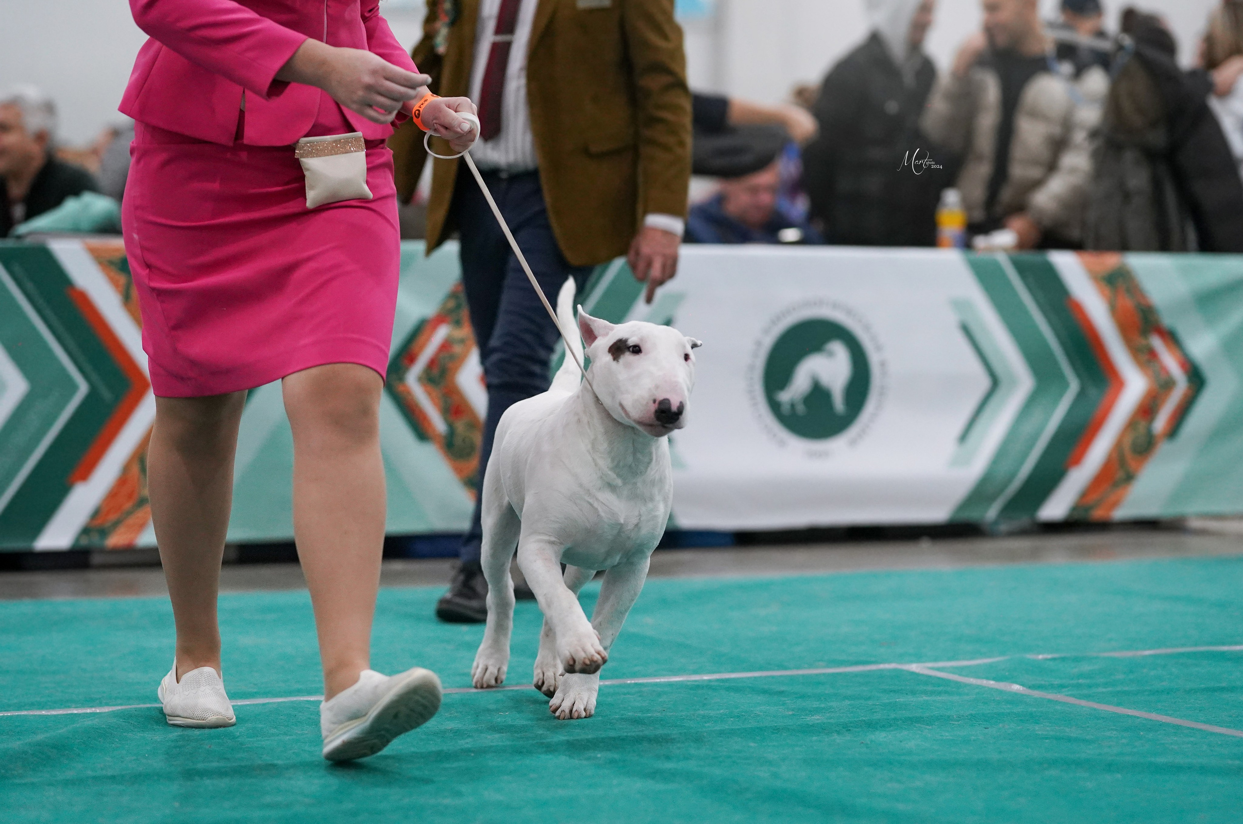 Выставки 2024. Фотограф-анималист в Санкт-Петербурге Яна Мартынова