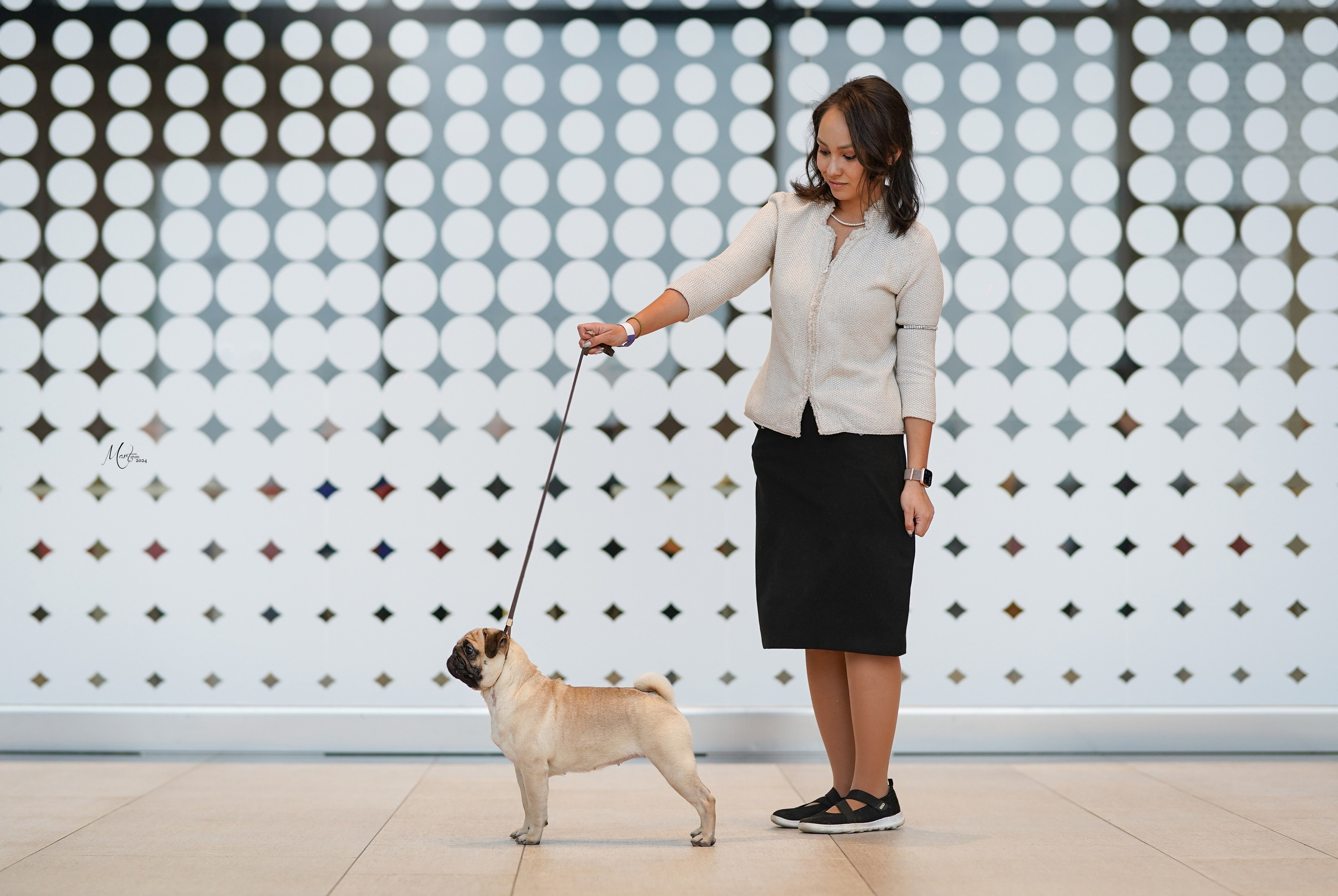 Выставки 2024. Фотограф-анималист в Санкт-Петербурге Яна Мартынова