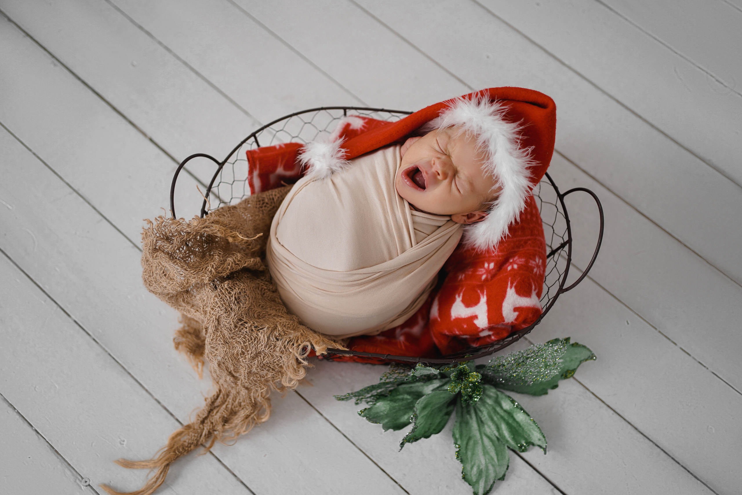 Новорожденные. Семейный фотограф в Волгодонске Анастасия Шипилова