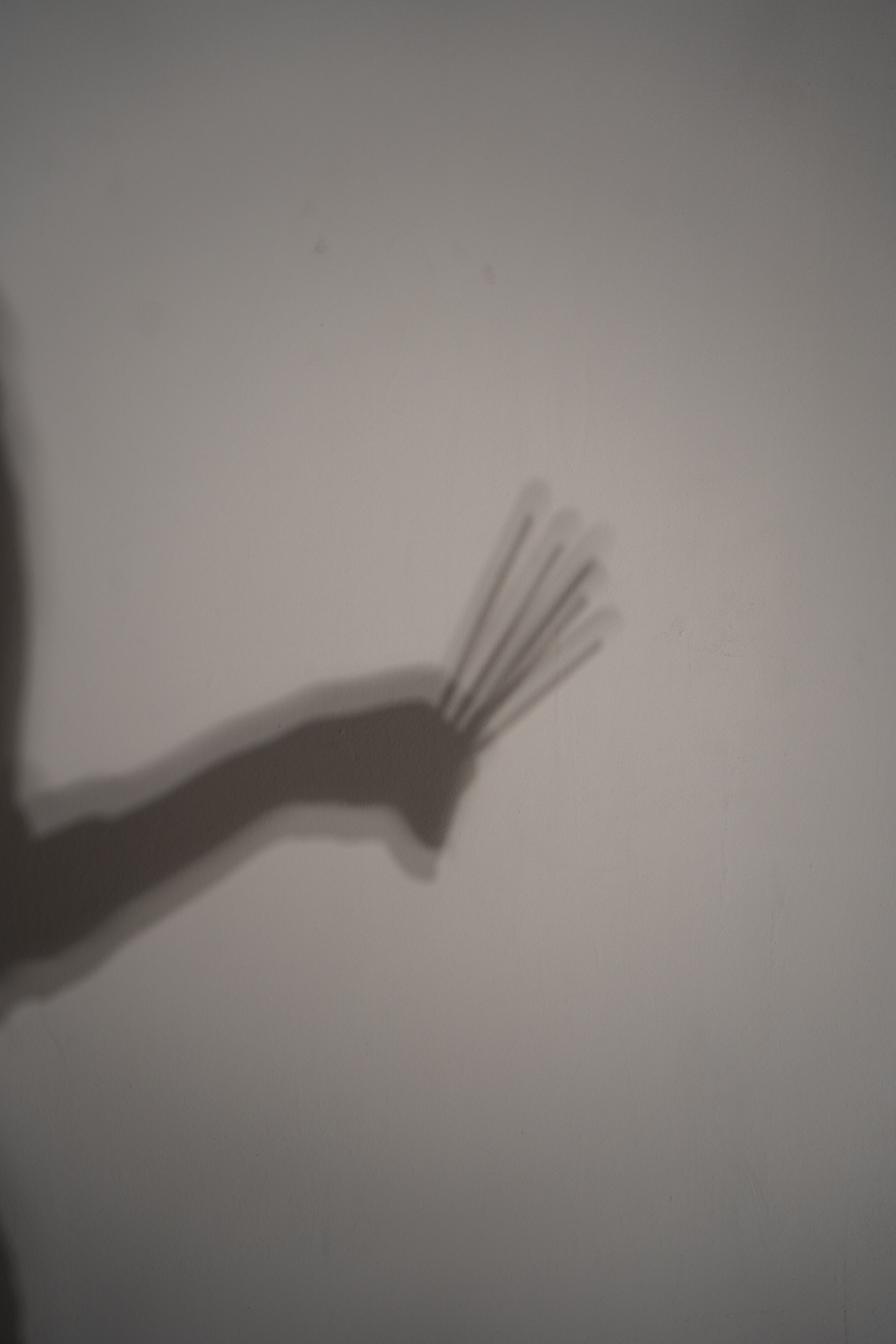 Контент для Мастера-бровиста. Фотограф Анна Котова