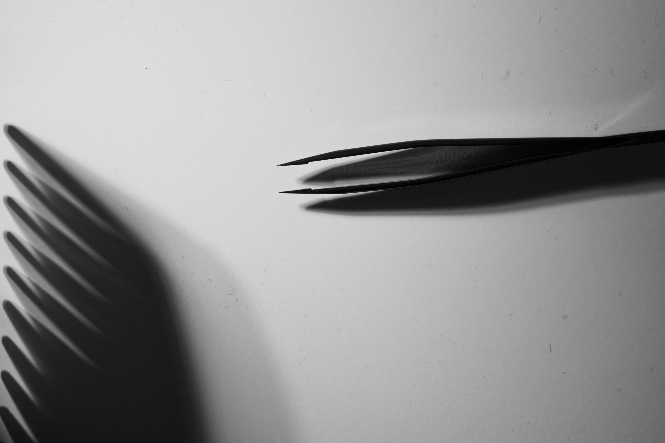 Контент для Мастера-бровиста. Фотограф Анна Котова