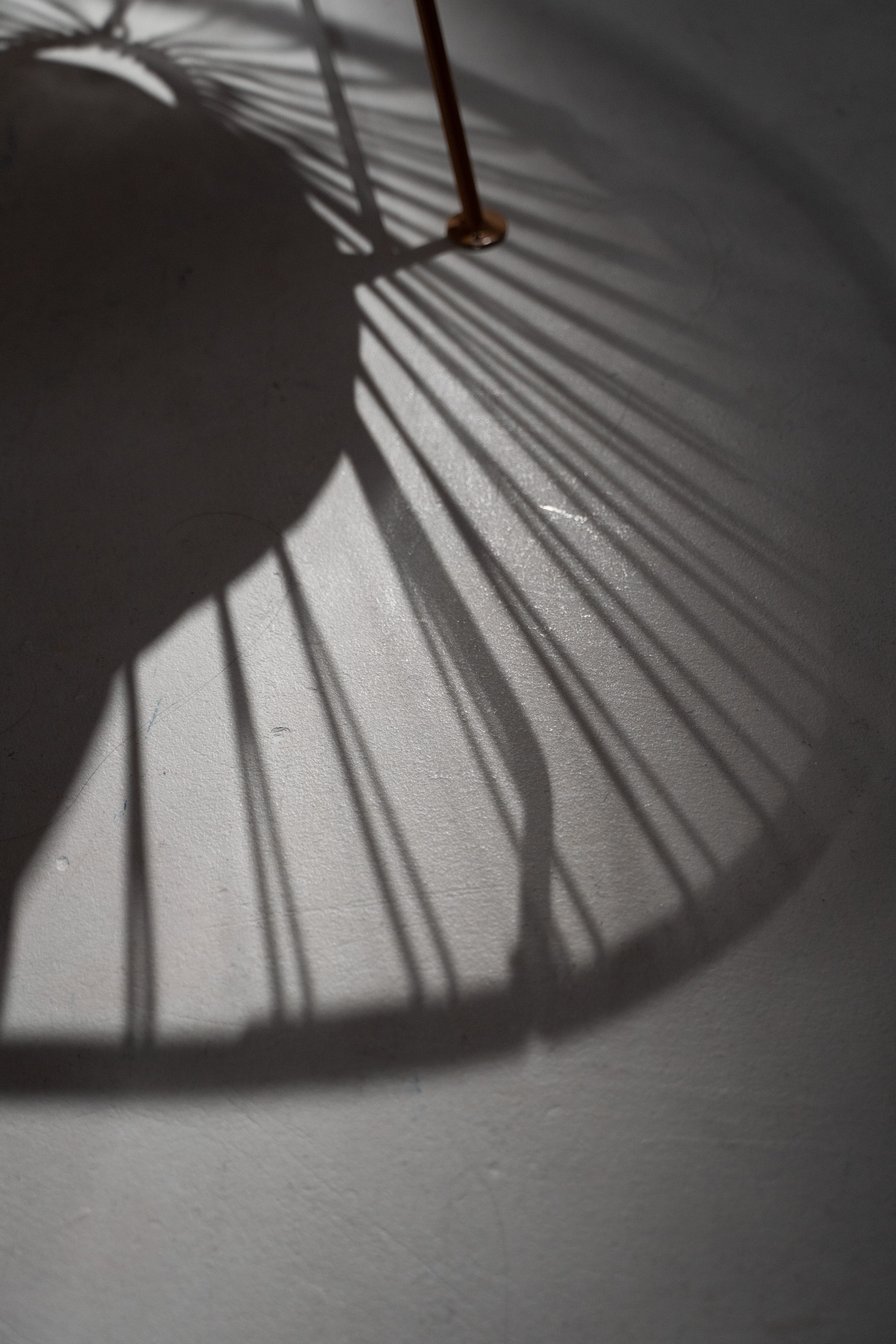 Контент для Мастера-бровиста. Фотограф Анна Котова