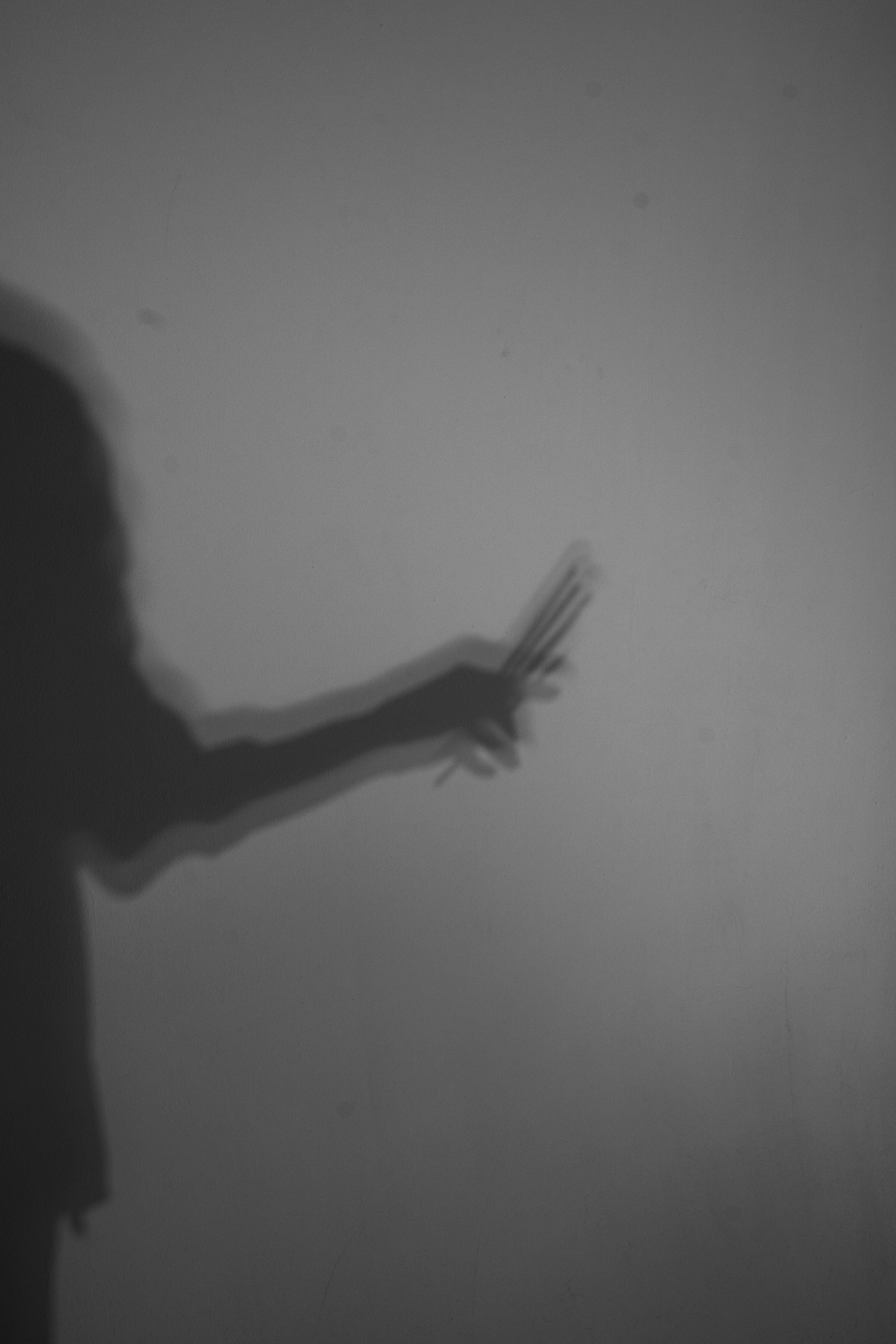 Контент для Мастера-бровиста. Фотограф Анна Котова