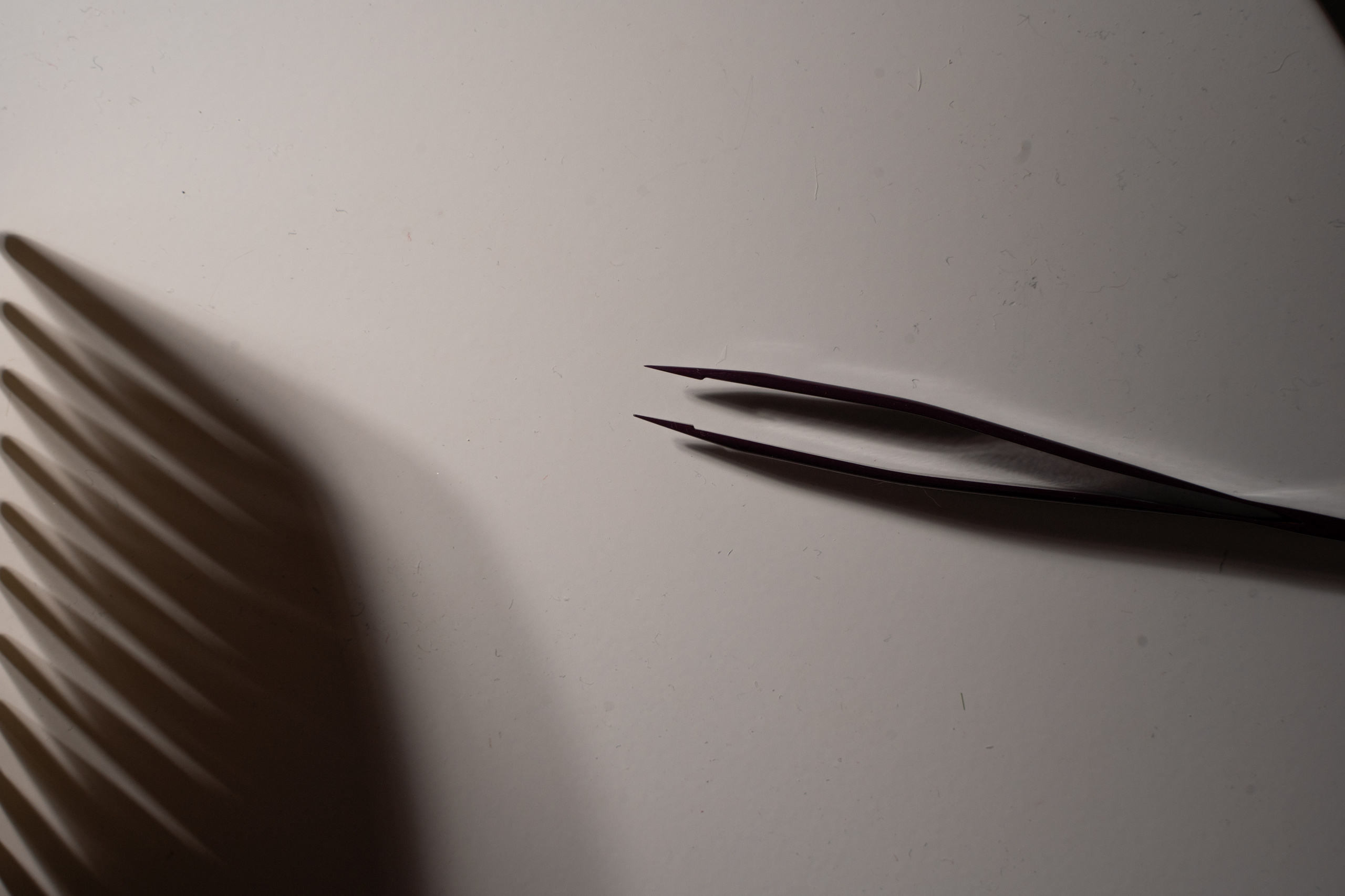 Контент для Мастера-бровиста. Фотограф Анна Котова