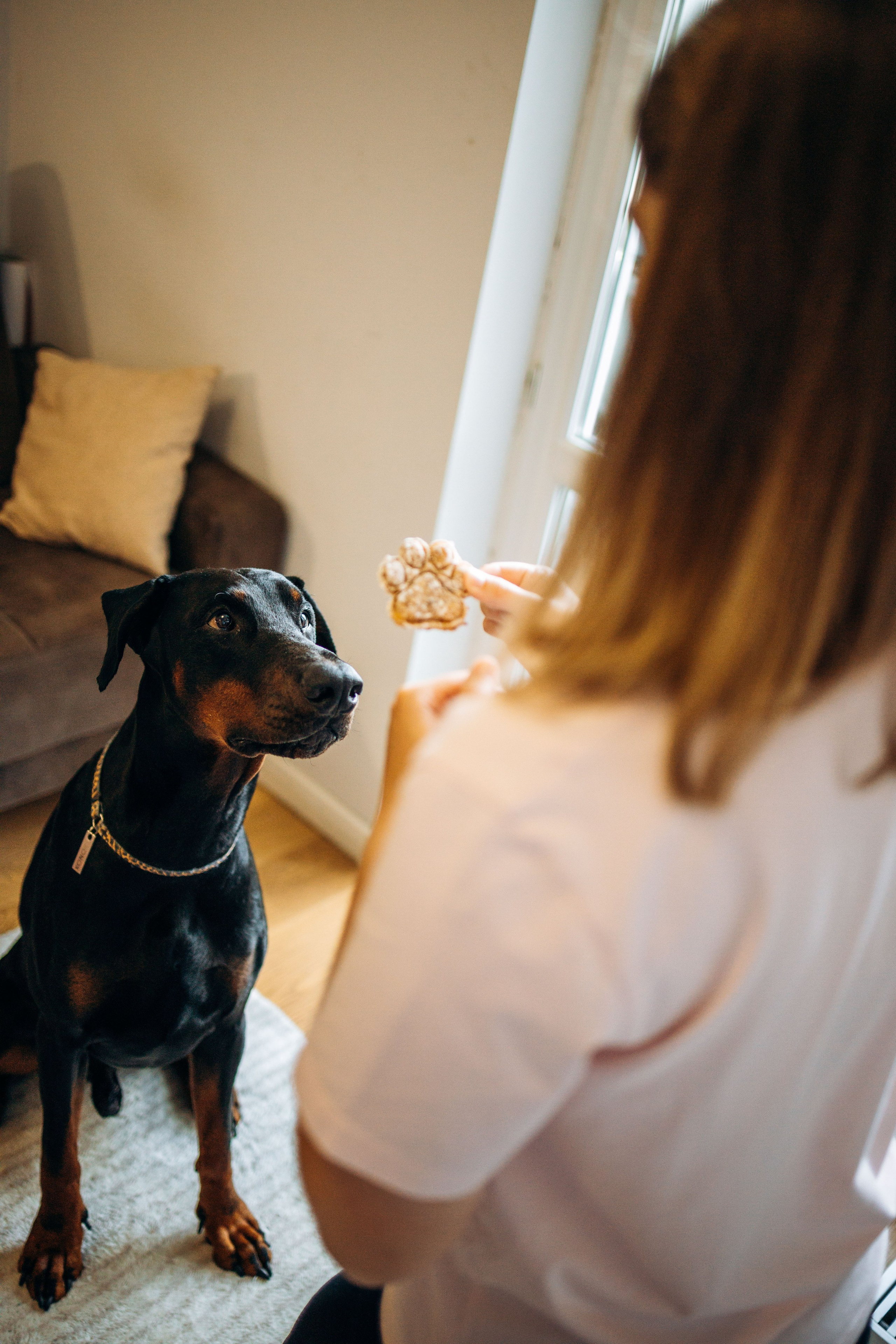 Катя и Конор