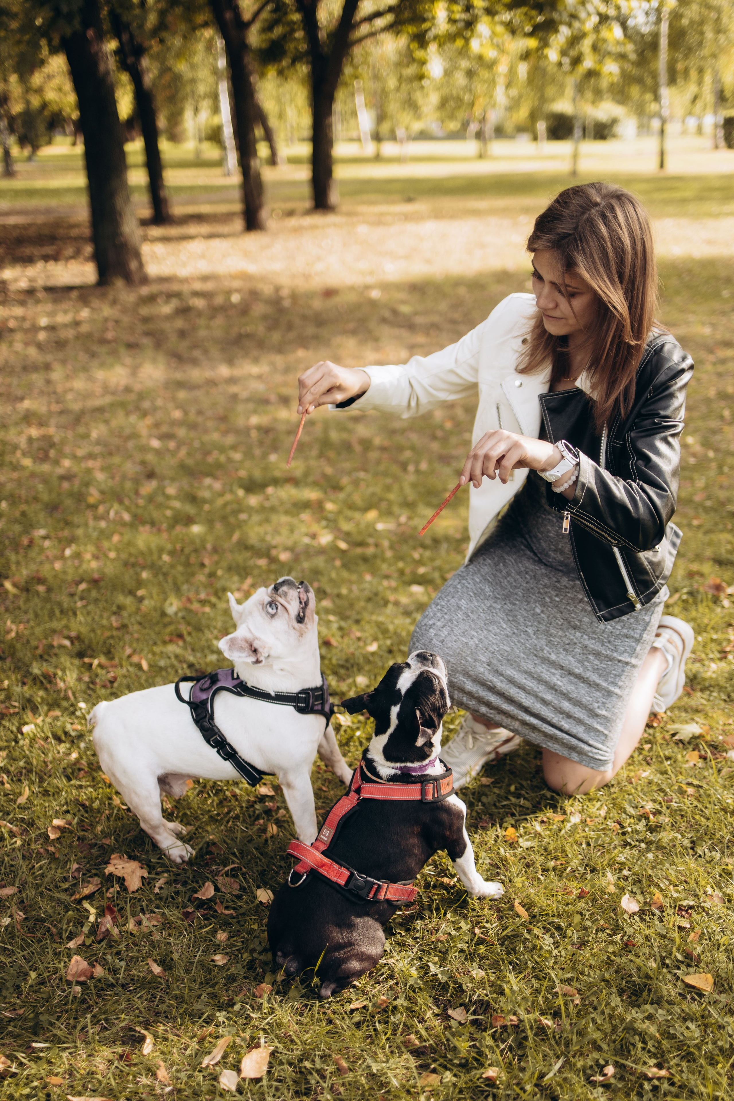 Оля и бульдоги