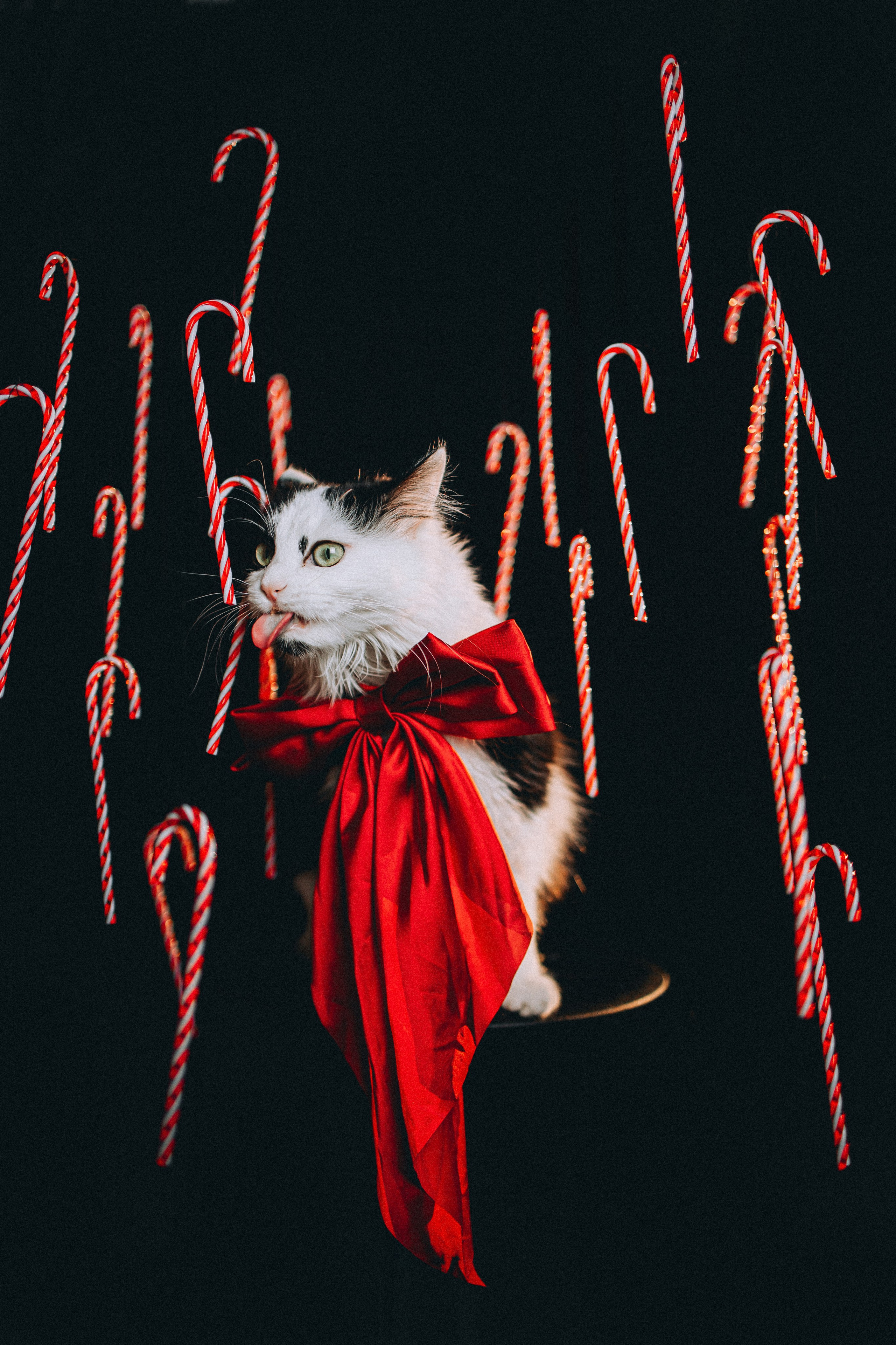 Джек, Бет и Кову