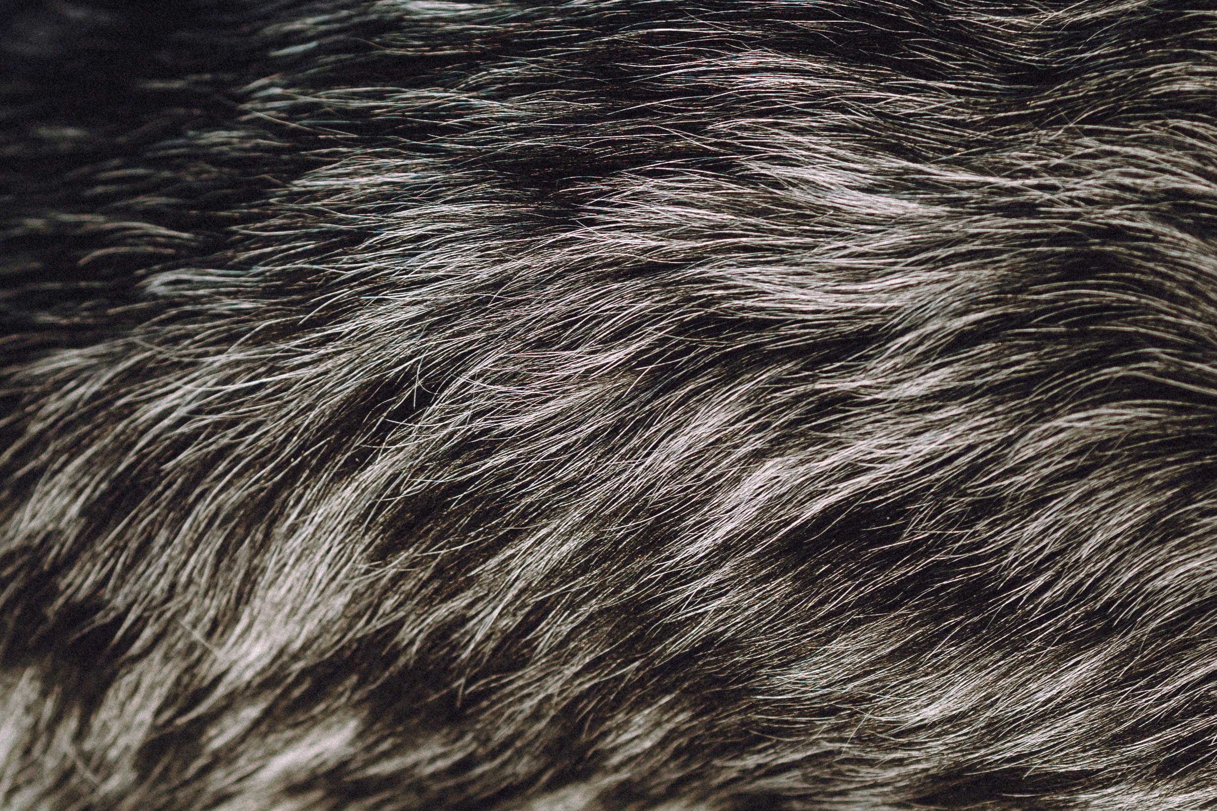 Маша и Ларри