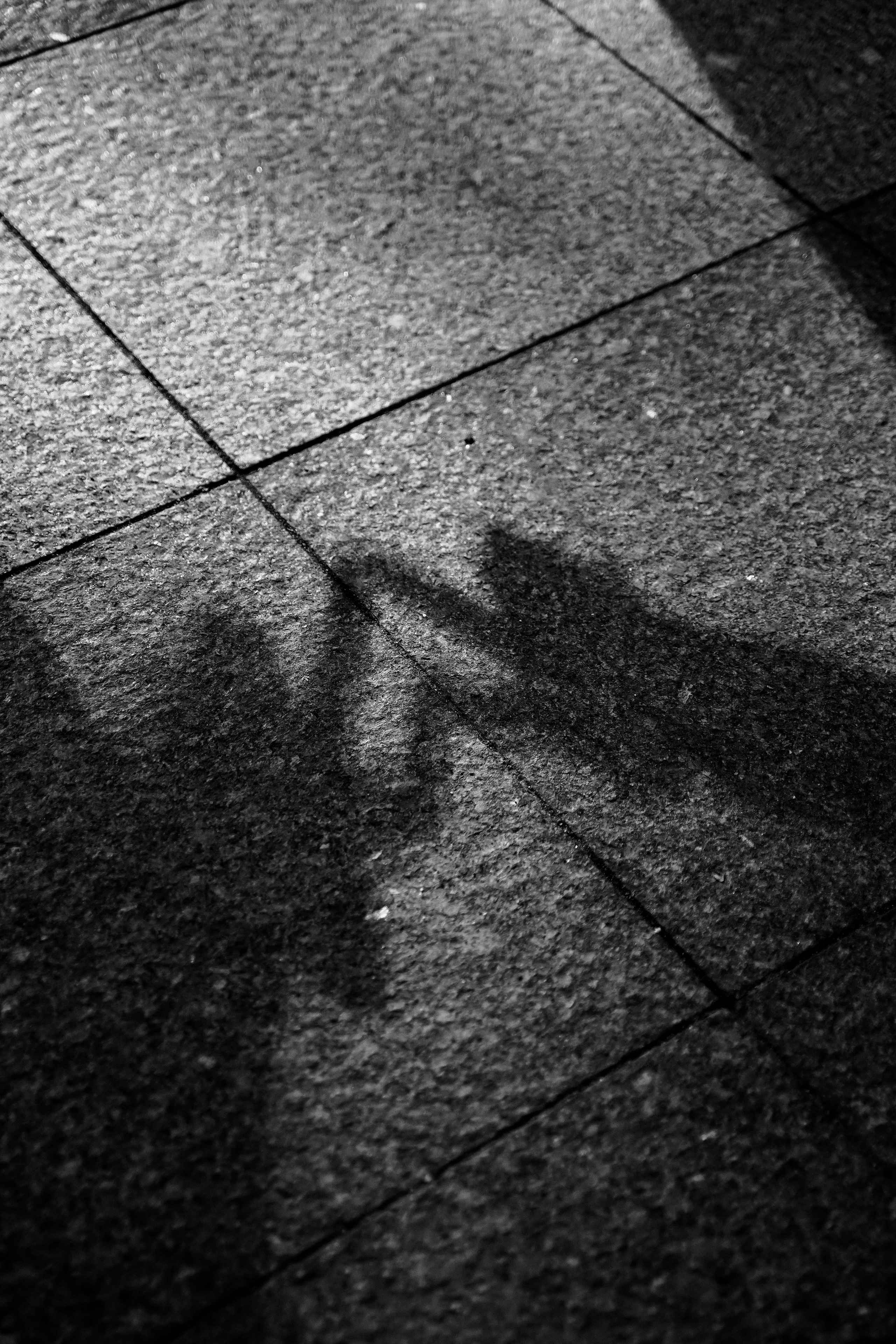 Е & М. Свадебный фотограф Москва, Санкт-Петербург