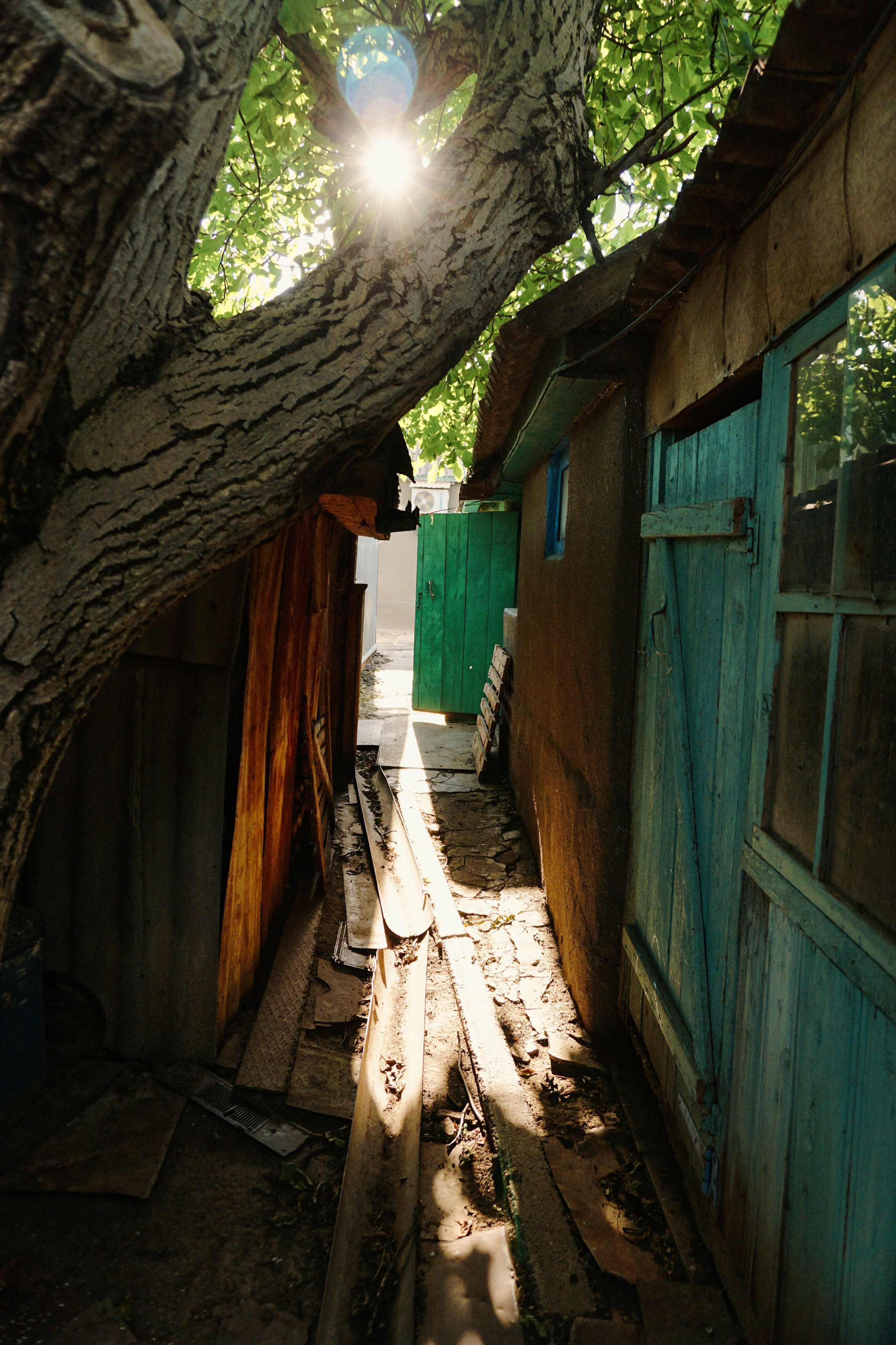 Домик в деревне. Семейный фотограф в Москве Ирина Жур