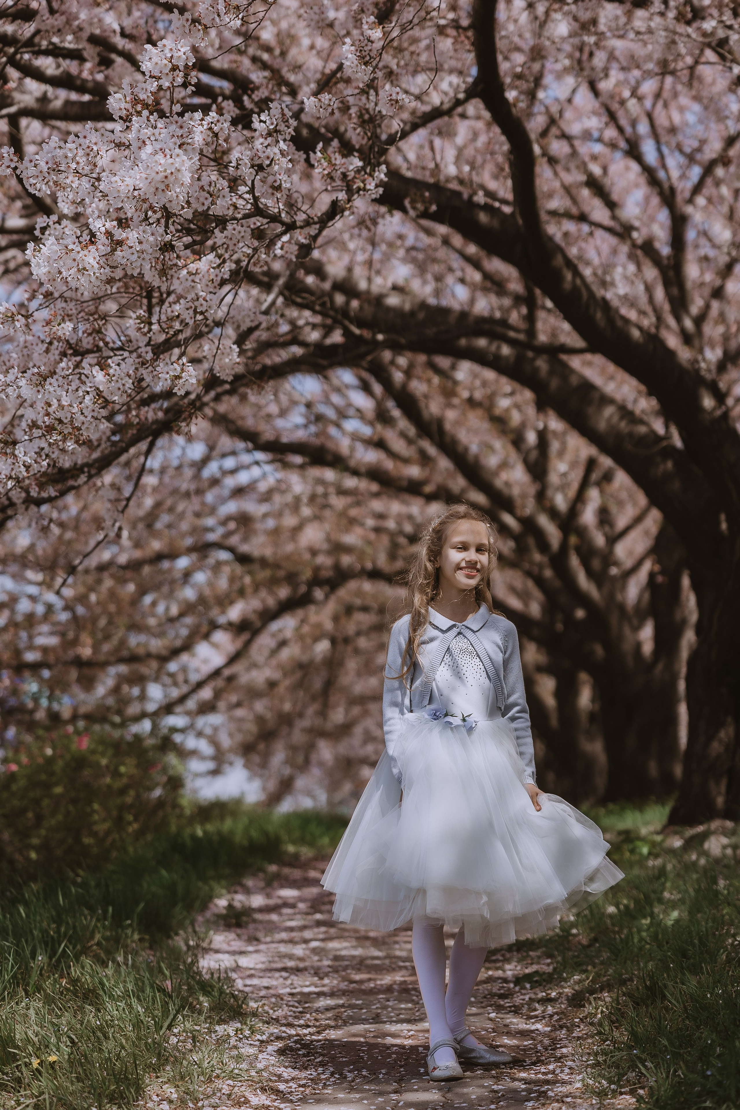 Beautiful girl at a photo shoot with sakura in Korea, Busan. Your photographer in Busan (South Korea) Aleksandra Anufriy
