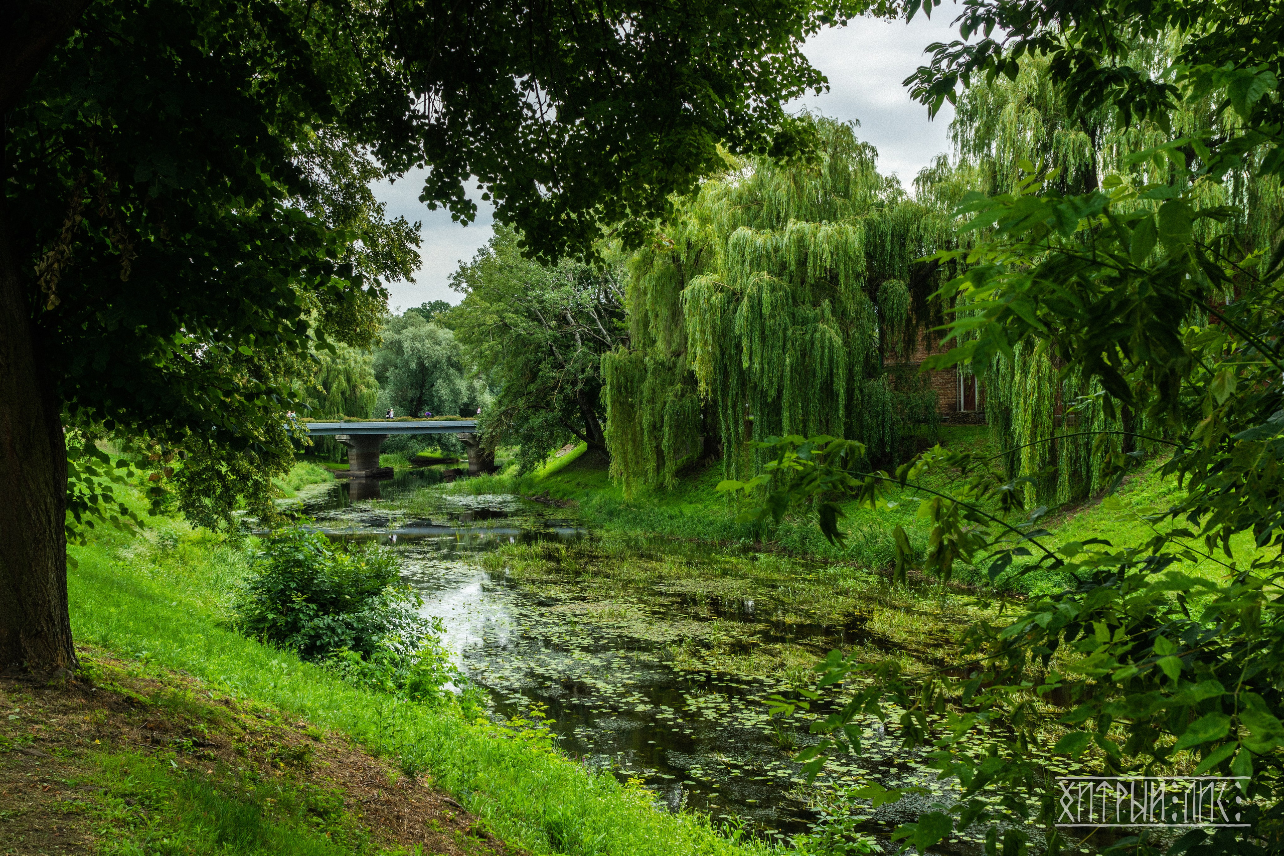 Беларусь. Фотограф-путешественник Самойлов Максим «Sly Fox»