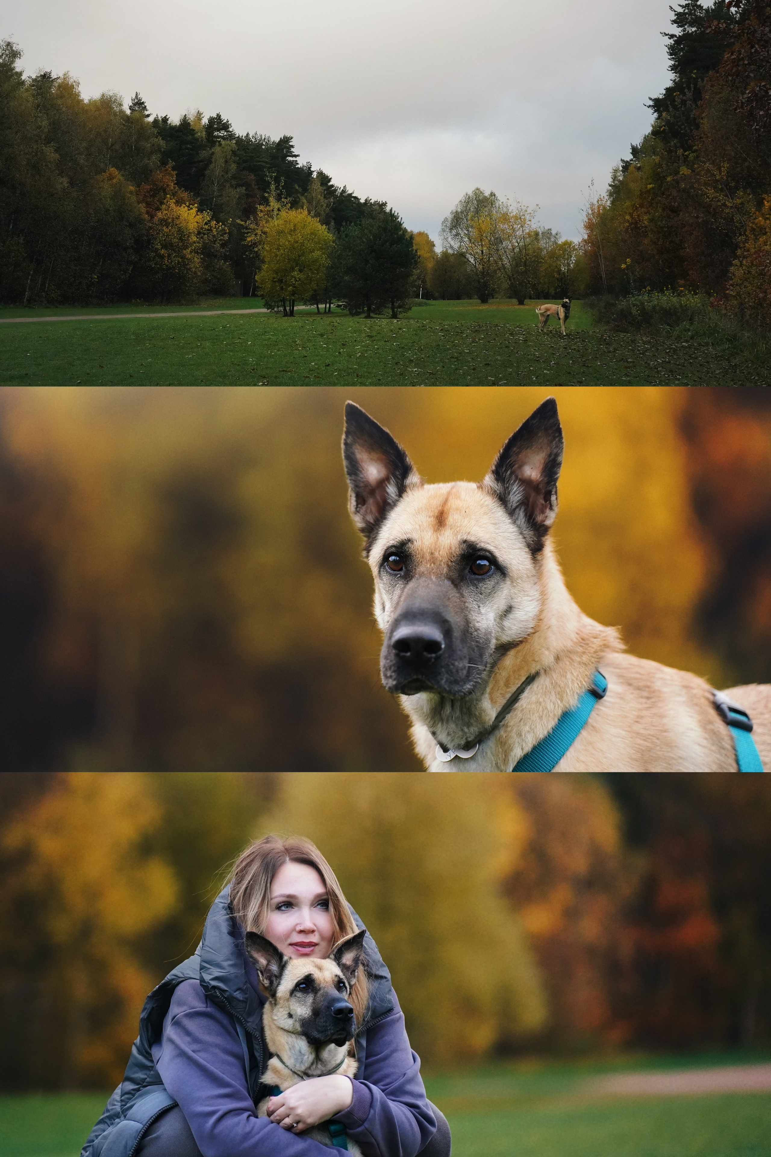 Наталия, Иван и Урса. Фотограф анималист в Москве и Санкт-Петербурге Свиридова Анна