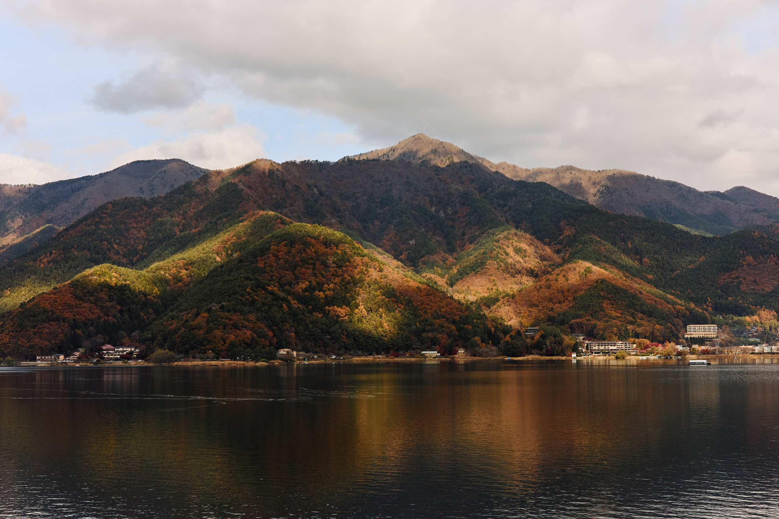 Япония. Профессиональный Фотограф во Владимире, в Москве и в Суздале — Полина Романычева
