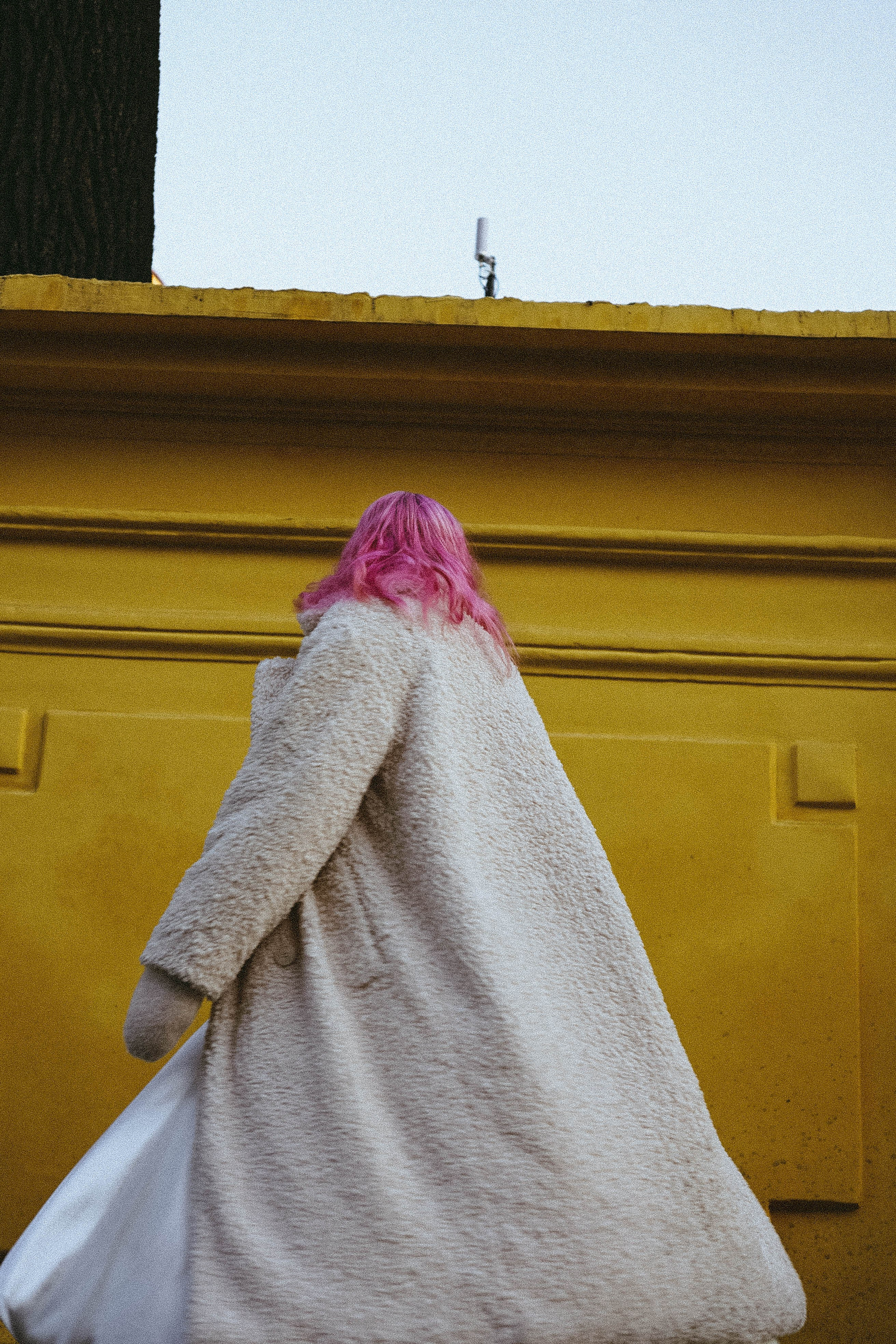 Тюльпаны. Профессиональный фотограф, Санкт-Петербург — Виктория Богомолова