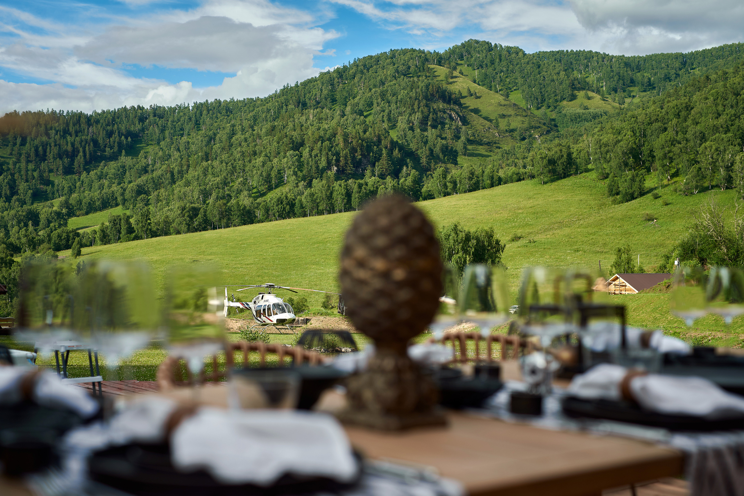 Маральник Altai Dream. Лето. Фотограф Опыт Качество Скорость Горный Алтай Барнаул