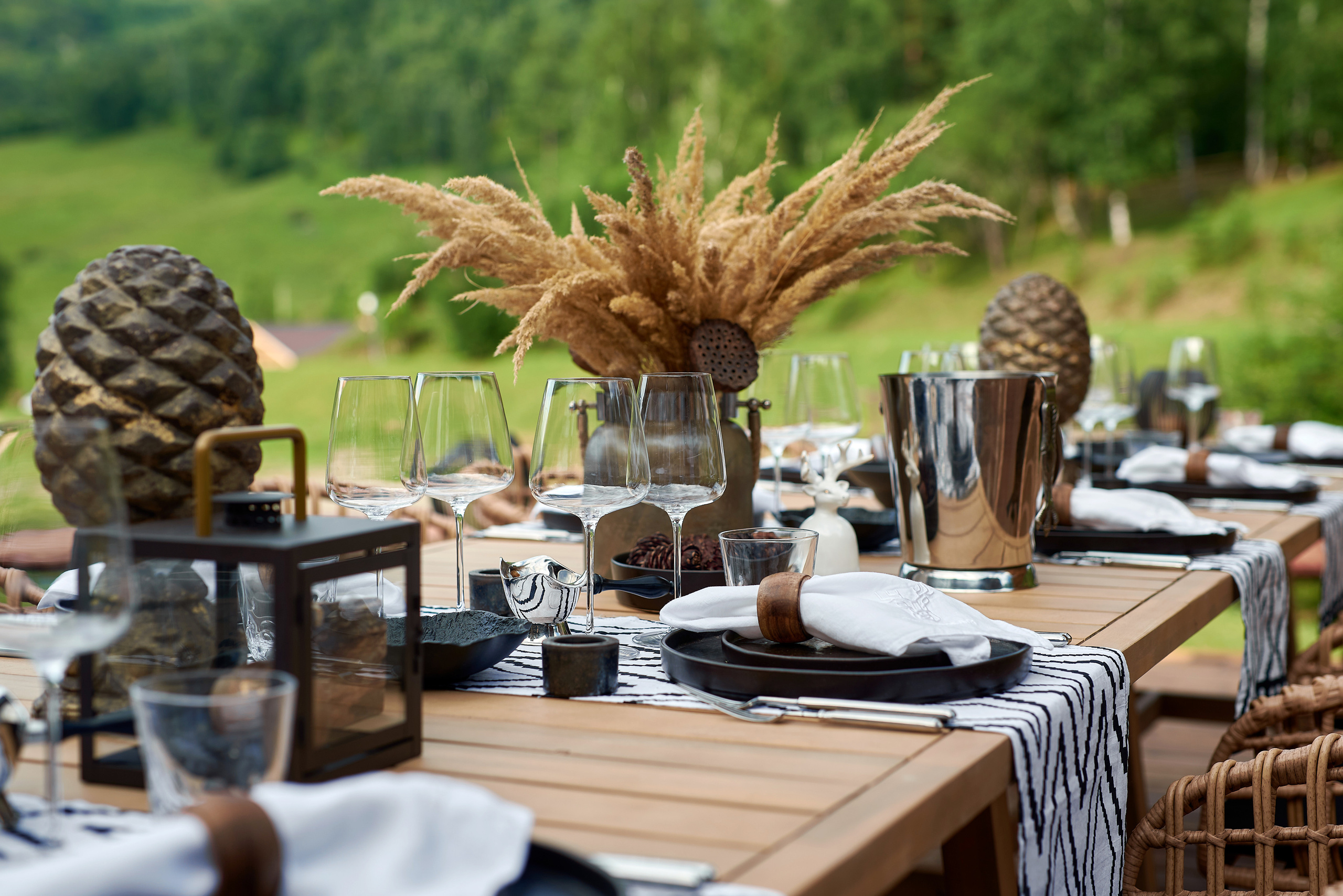 Маральник Altai Dream. Лето. Фотограф Опыт Качество Скорость Горный Алтай Барнаул