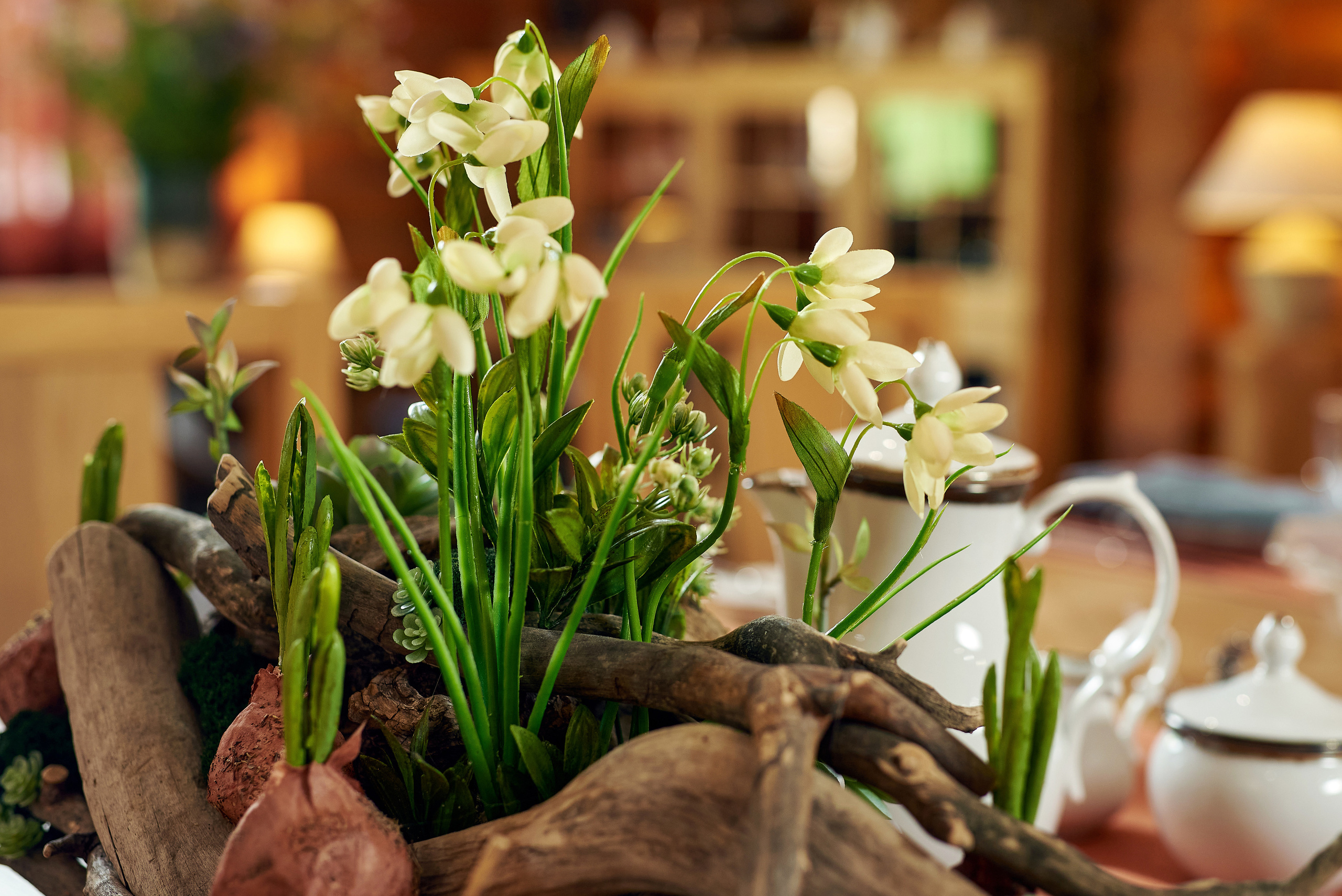 Маральник Altai Dream. Лето. Фотограф Опыт Качество Скорость Горный Алтай Барнаул