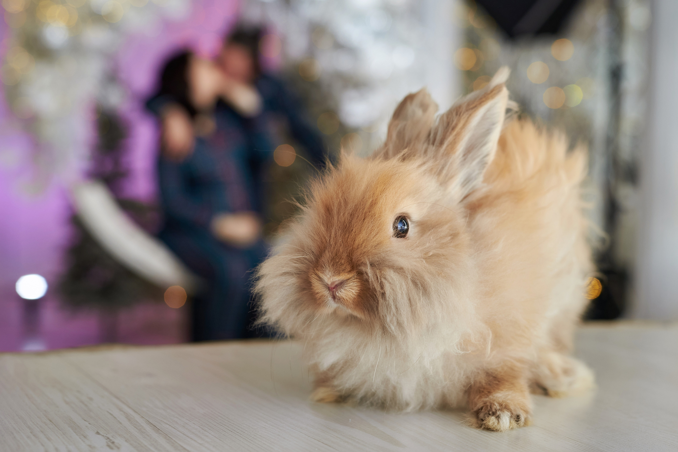 Общее портфолио. Фотограф Опыт Качество Скорость Горный Алтай Барнаул