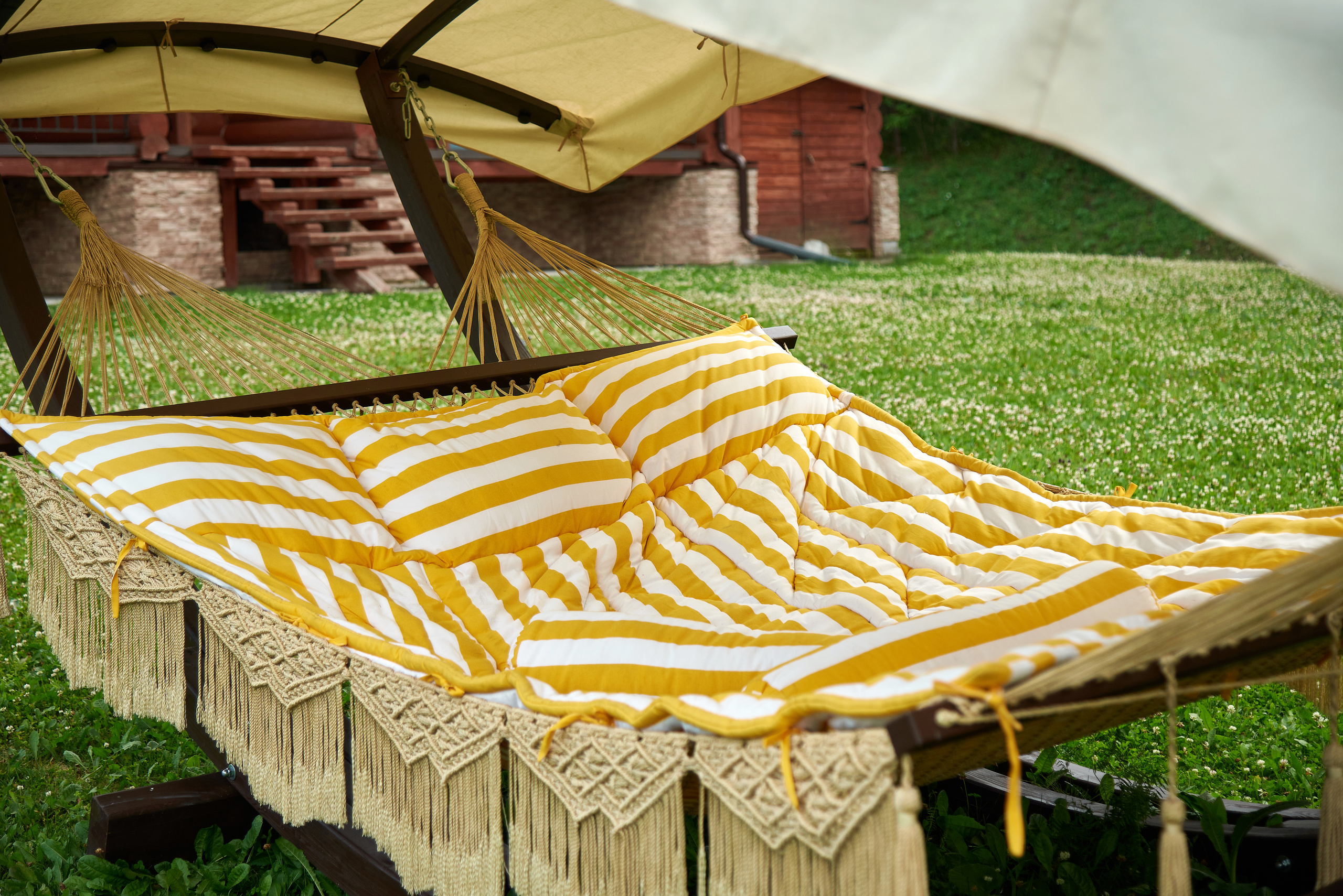 Маральник Altai Dream. Лето. Фотограф Опыт Качество Скорость Горный Алтай Барнаул