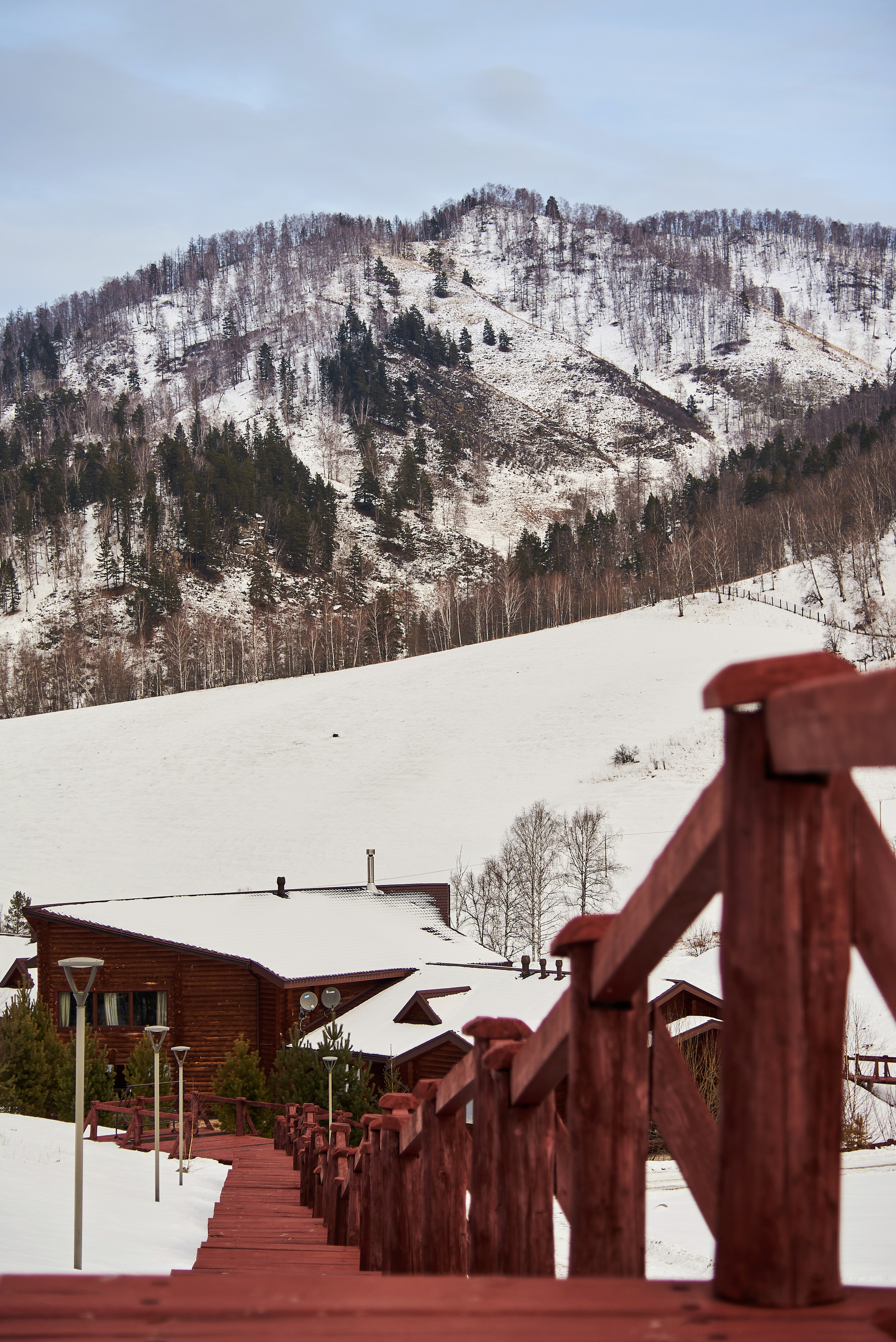 Маральник Altai Dream. Зима. Фотограф Опыт Качество Скорость Горный Алтай Барнаул