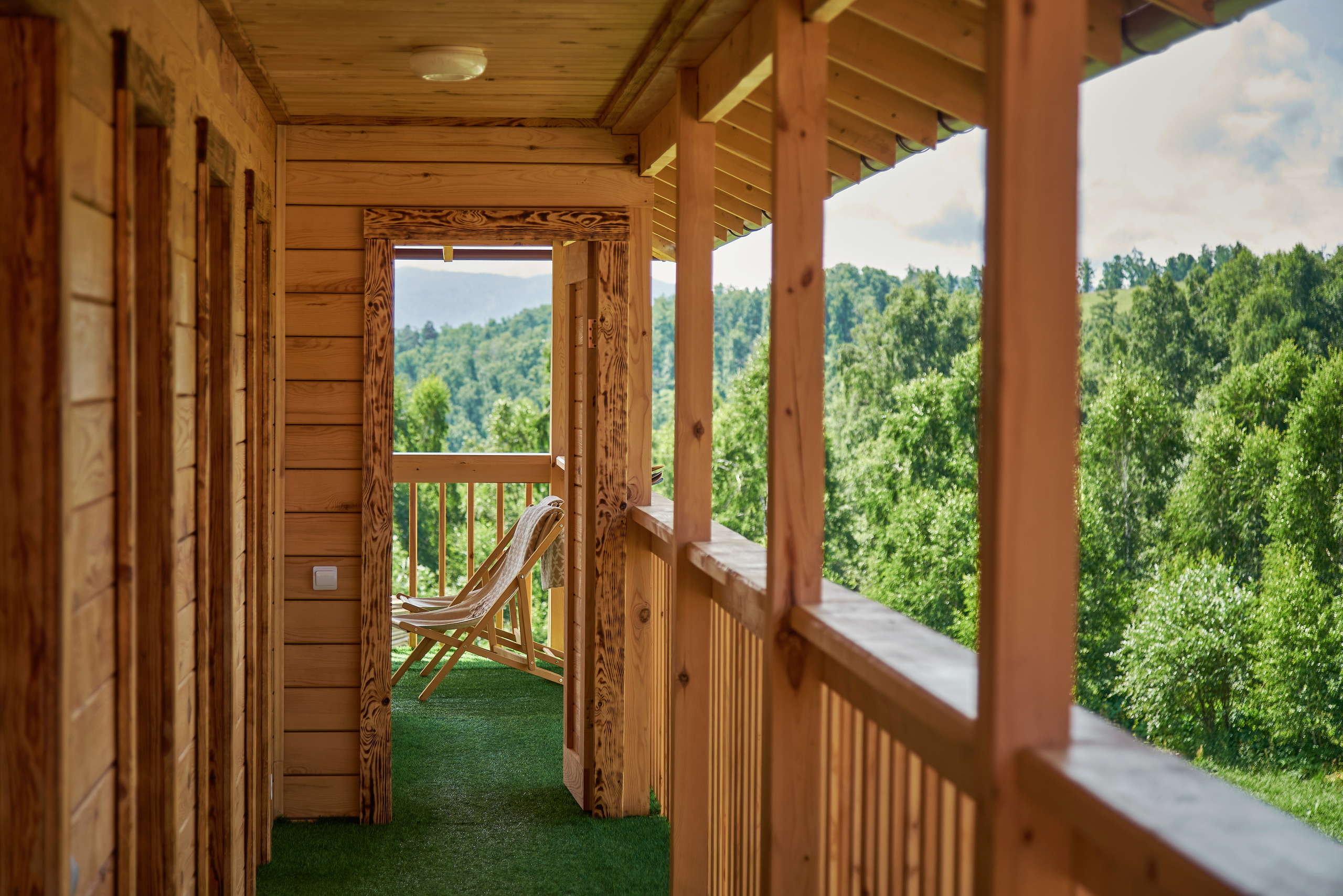 Маральник Altai Dream. Лето. Фотограф Опыт Качество Скорость Горный Алтай Барнаул