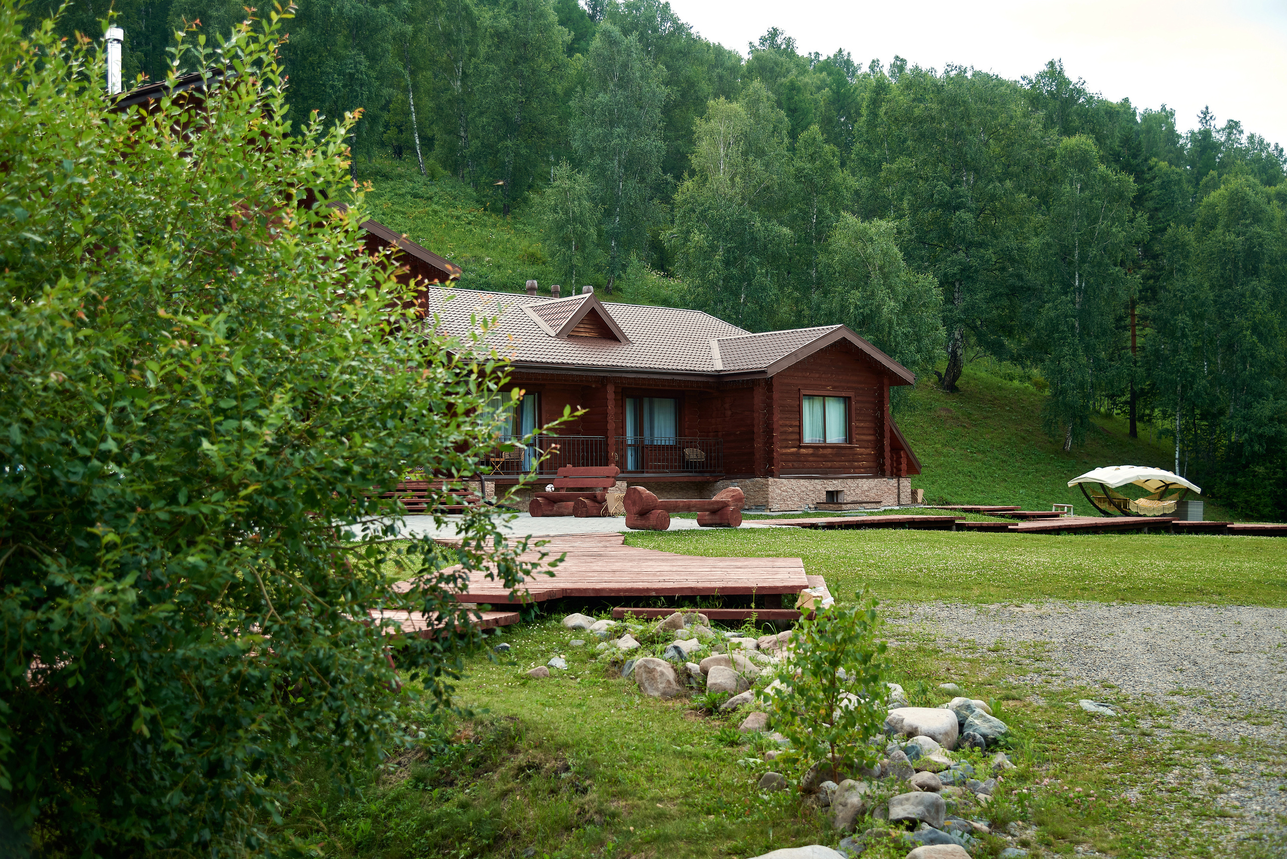 Маральник Altai Dream. Лето. Фотограф Опыт Качество Скорость Горный Алтай Барнаул