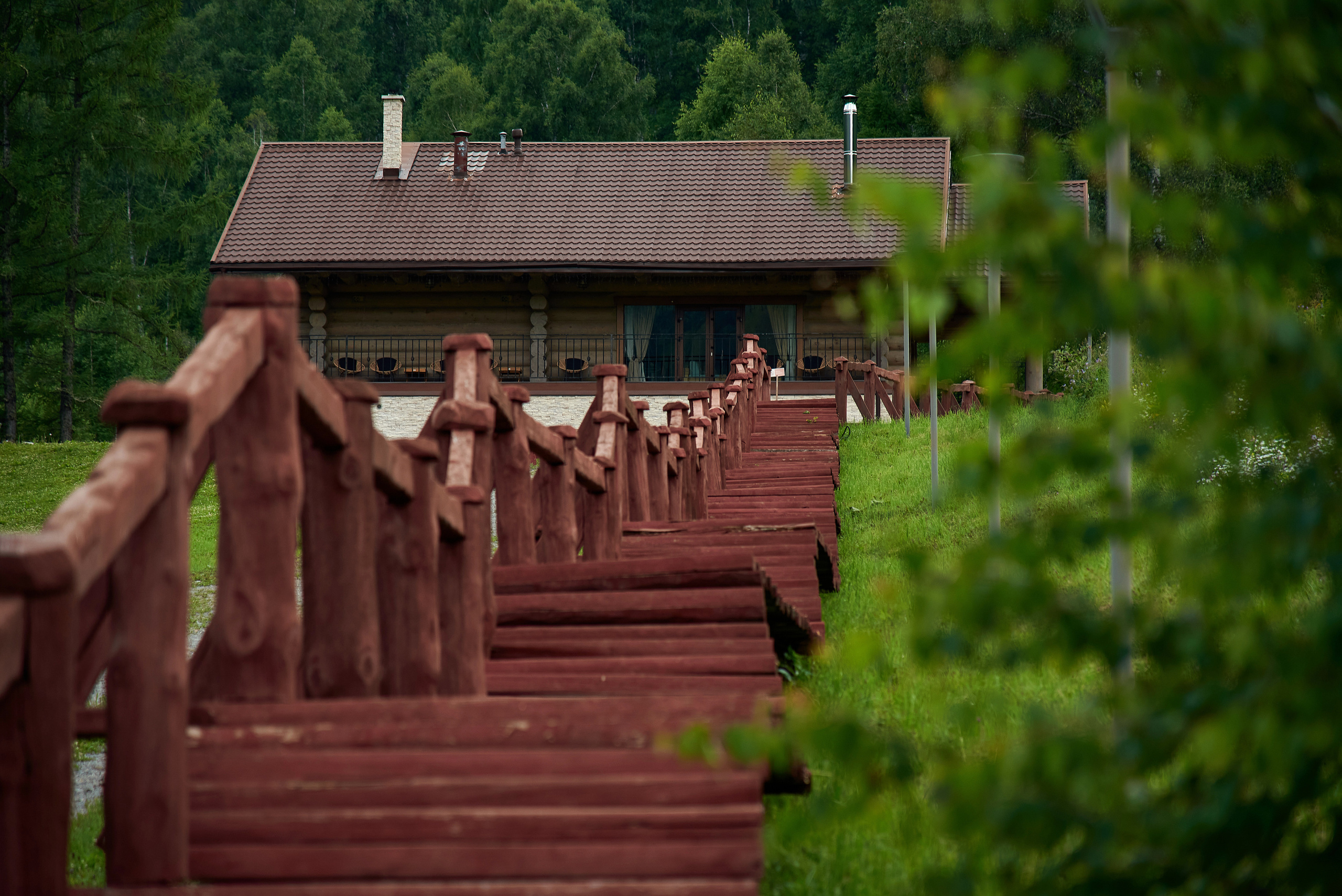 Маральник Altai Dream. Лето. Фотограф Опыт Качество Скорость Горный Алтай Барнаул