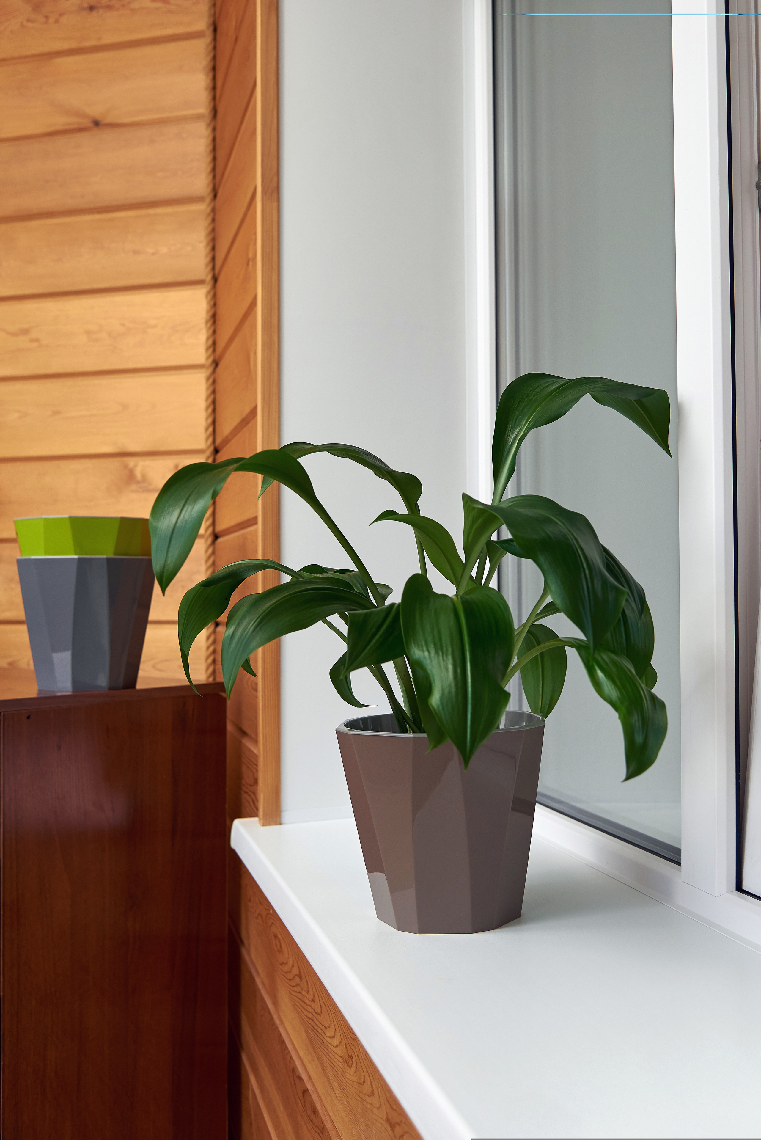 Фото товаров для OZON. Фотограф Опыт Качество Скорость Горный Алтай Барнаул