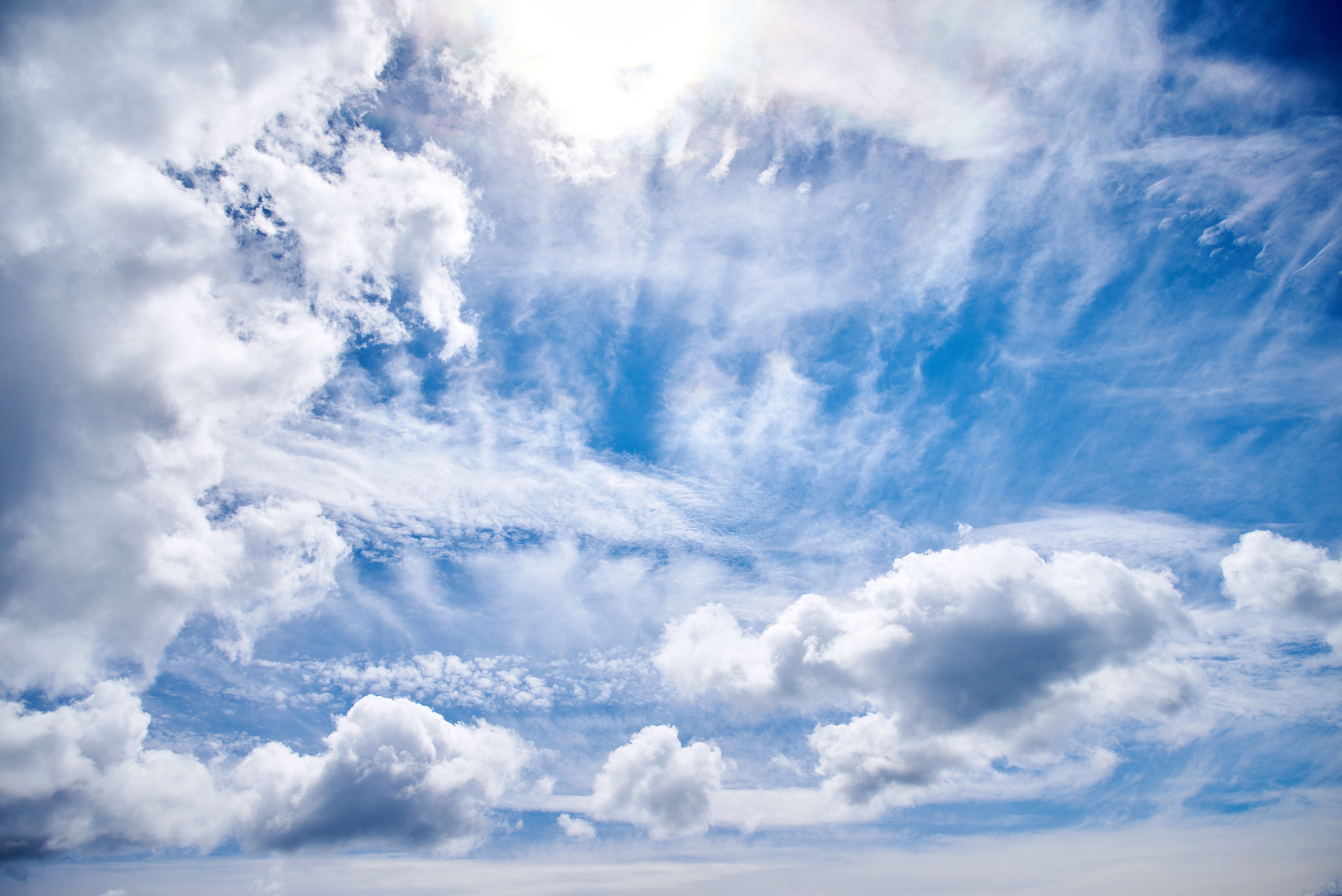 Маральник Altai Dream. Лето. Фотограф Опыт Качество Скорость Горный Алтай Барнаул