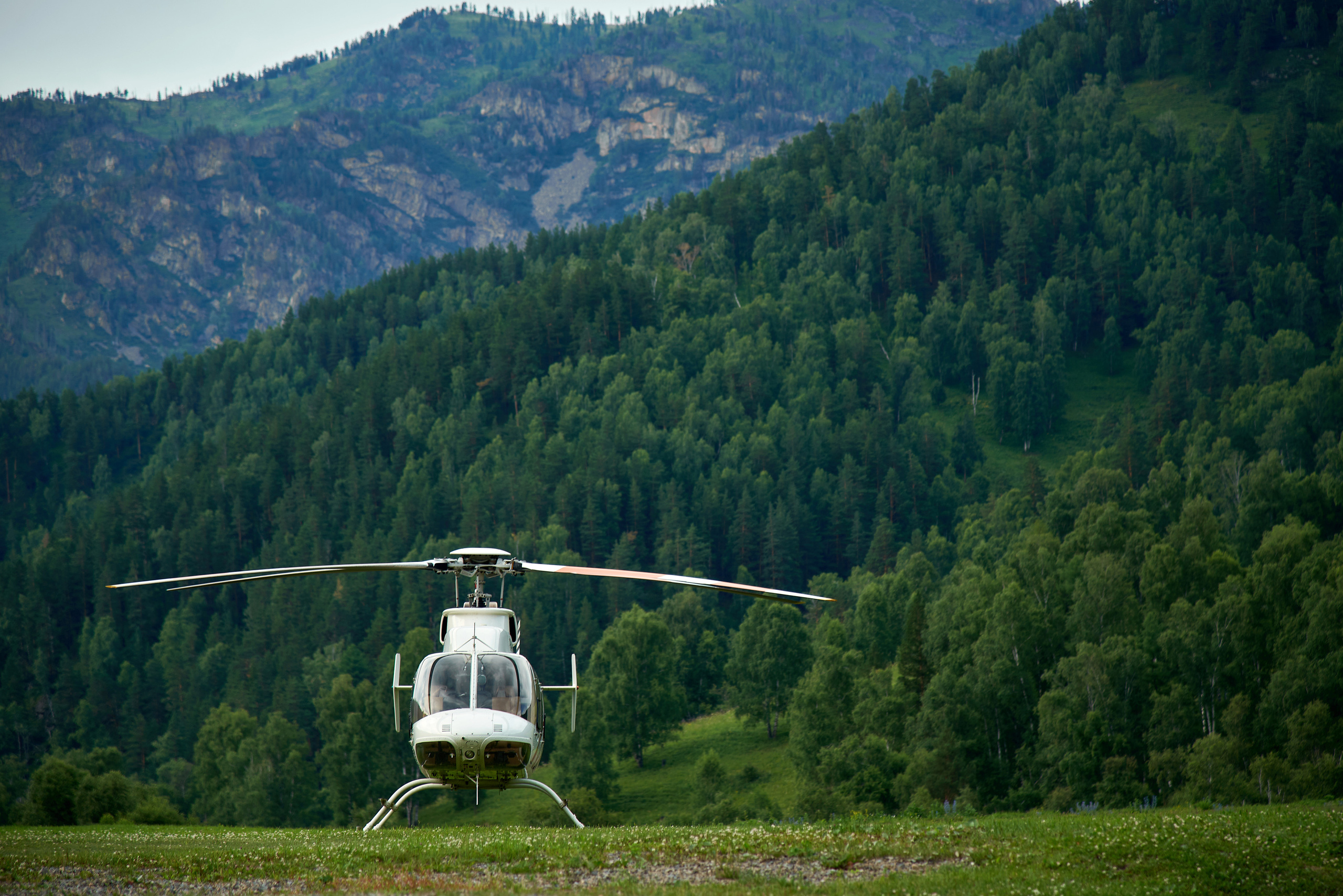 Маральник Altai Dream. Лето. Фотограф Опыт Качество Скорость Горный Алтай Барнаул