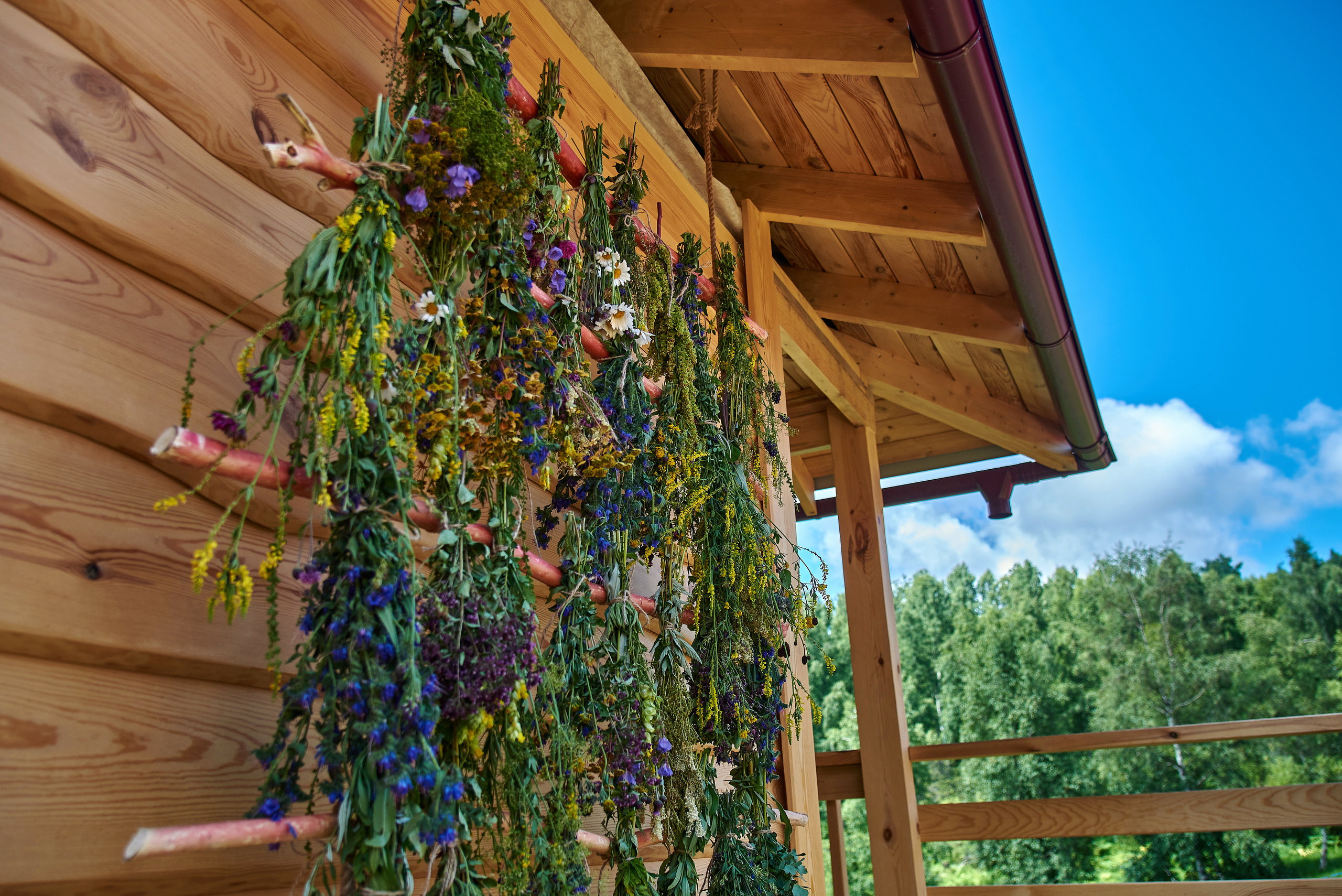 Интерьерный Архитектурный фотограф Барнаул. Фотограф Опыт Качество Скорость Горный Алтай Барнаул