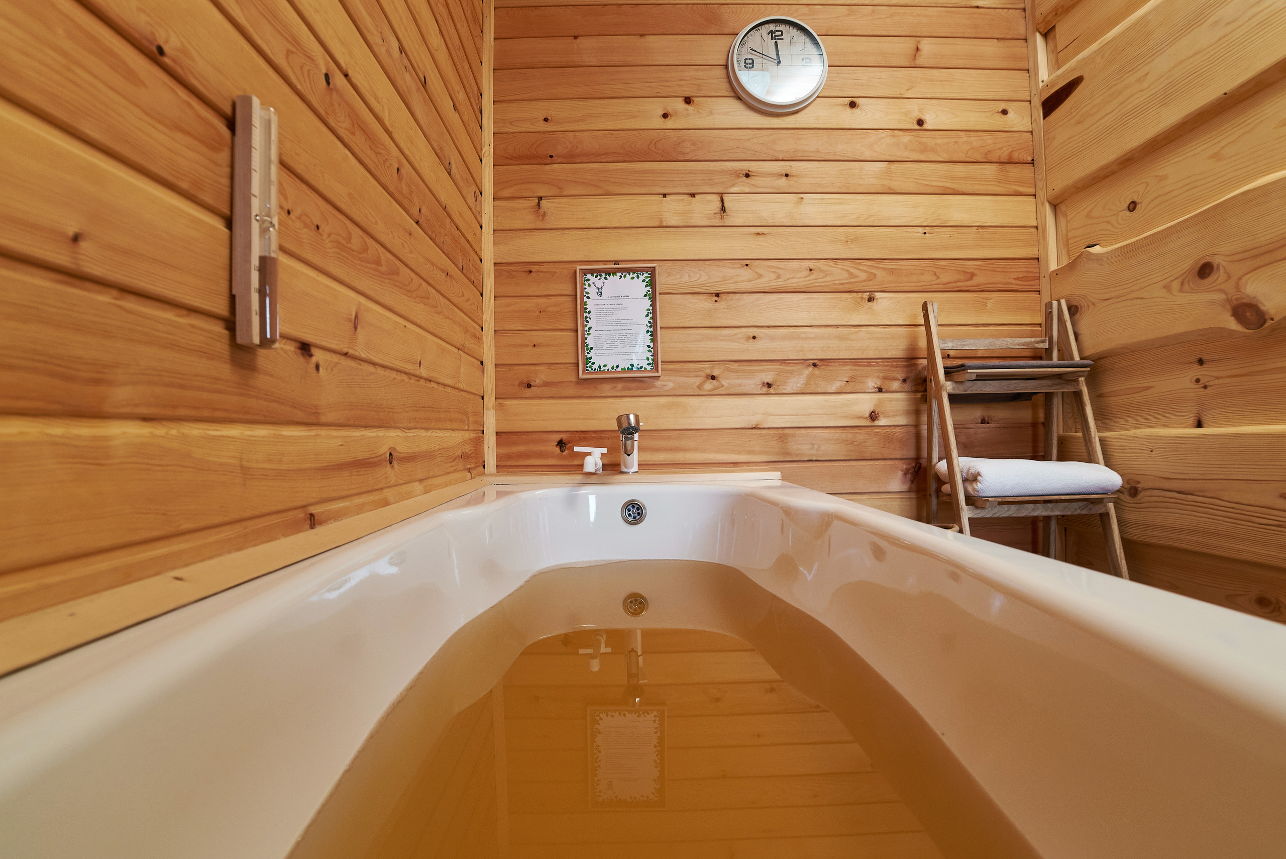 Маральник Altai Dream. Лето. Фотограф Опыт Качество Скорость Горный Алтай Барнаул