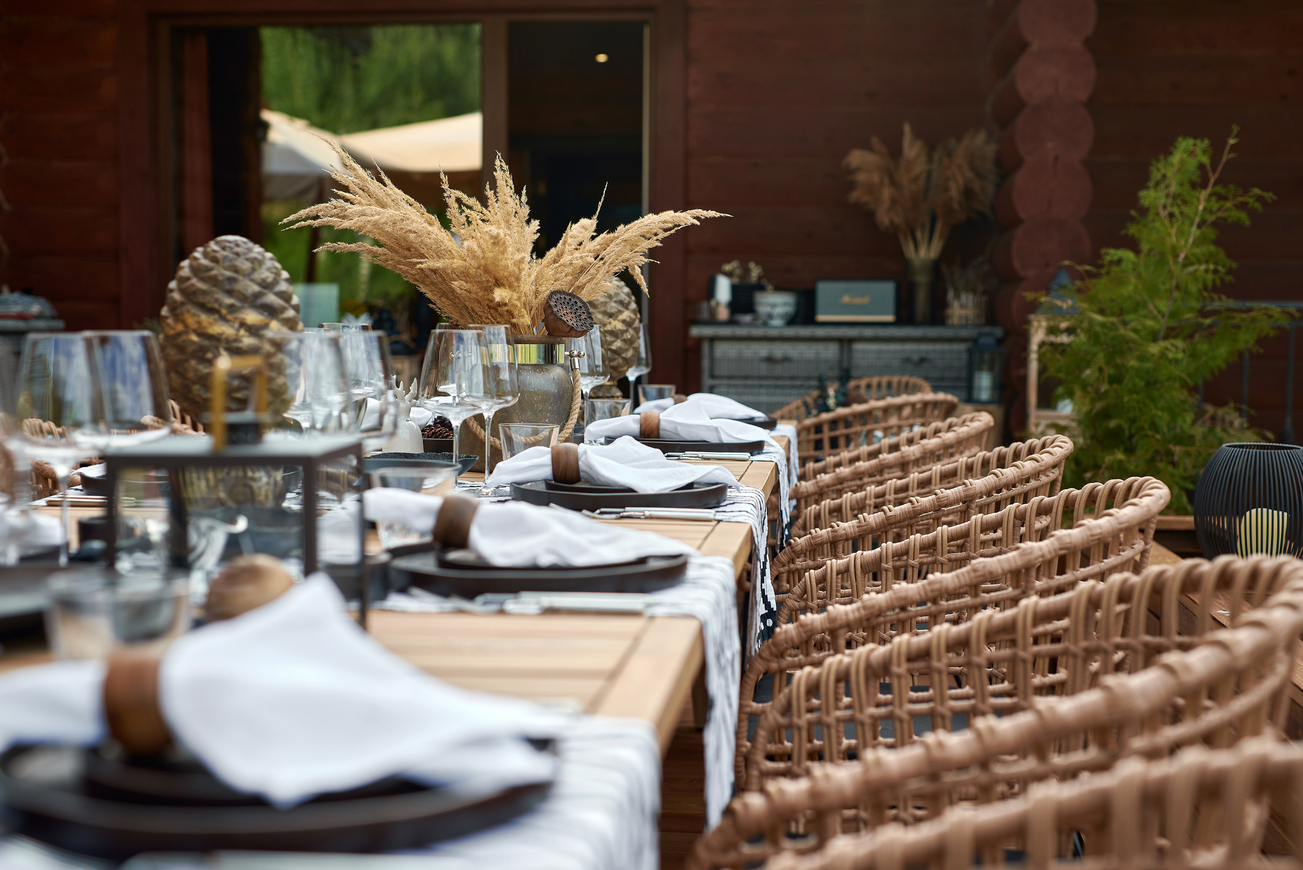 Маральник Altai Dream. Лето. Фотограф Опыт Качество Скорость Горный Алтай Барнаул