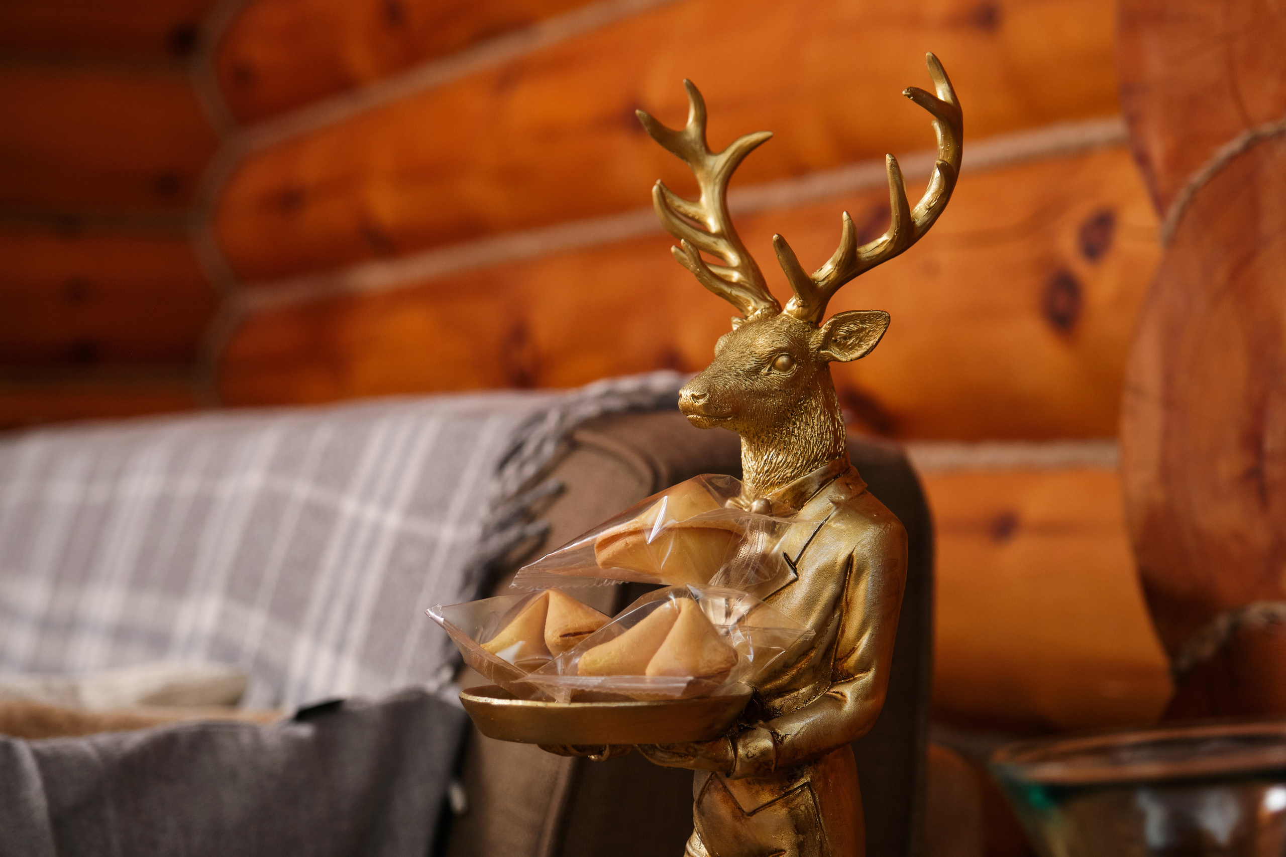 Интерьерные. Фотограф Опыт Качество Скорость Горный Алтай Барнаул