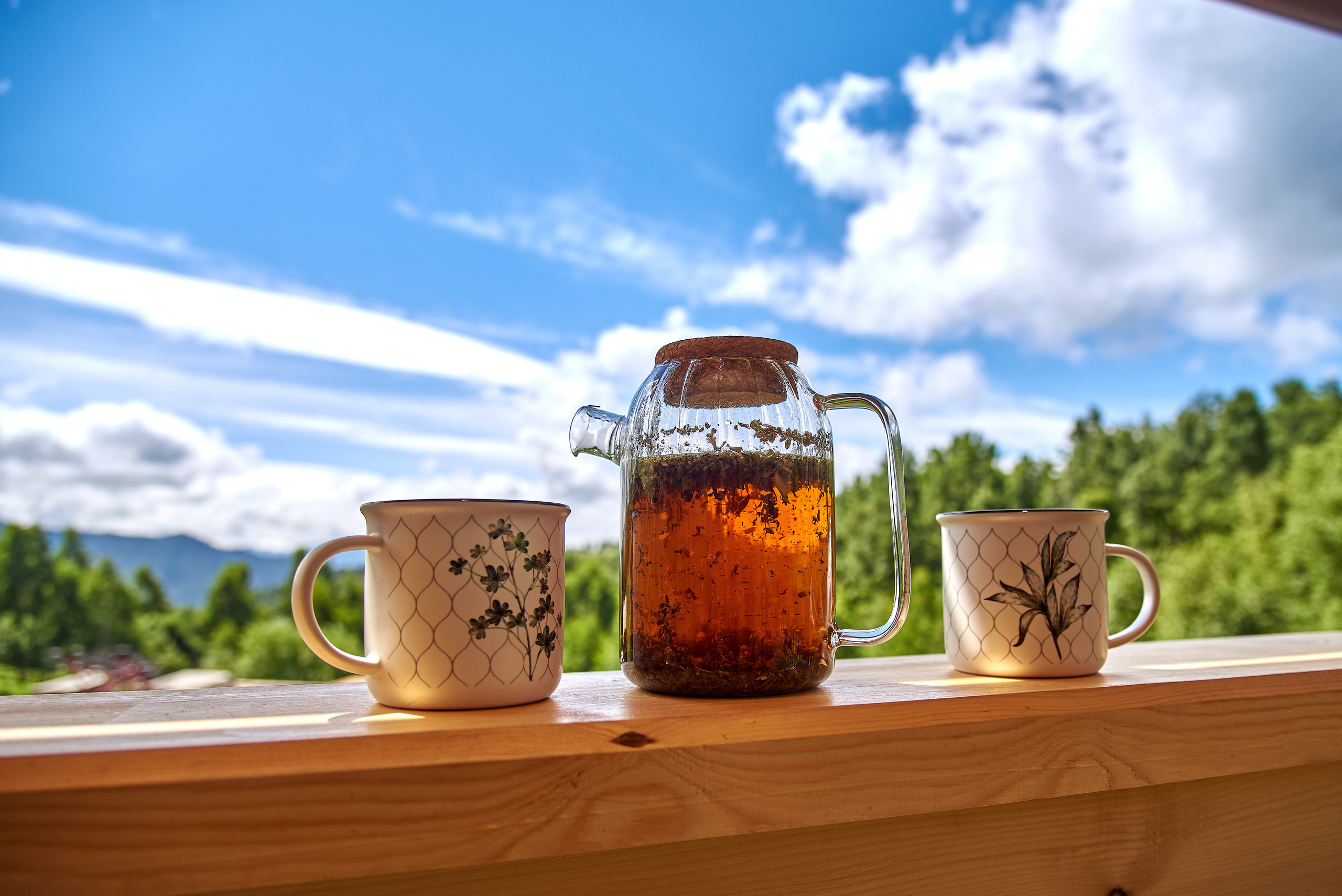 Маральник Altai Dream. Лето. Фотограф Опыт Качество Скорость Горный Алтай Барнаул