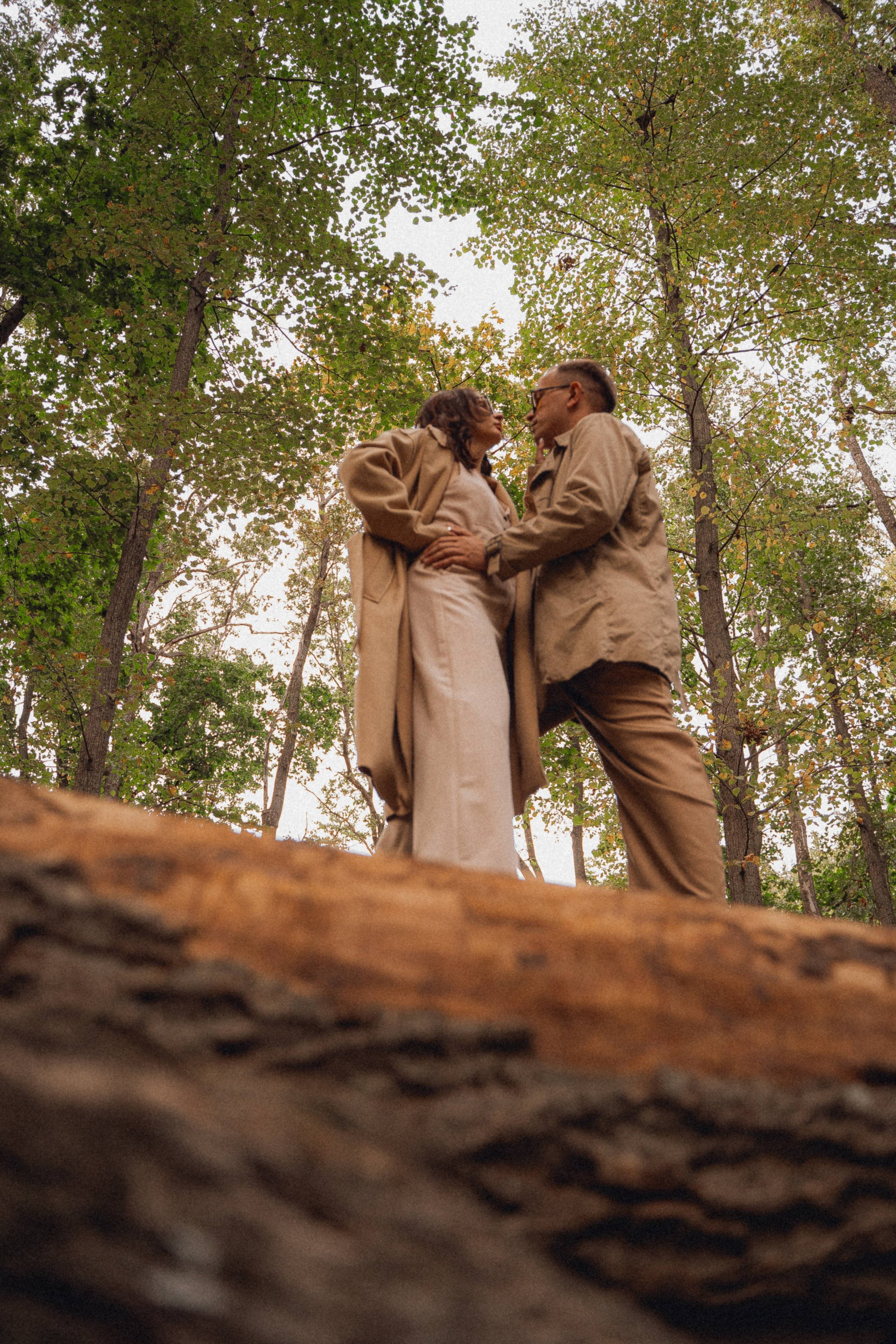 Лес. Фотограф Мария Зайчик