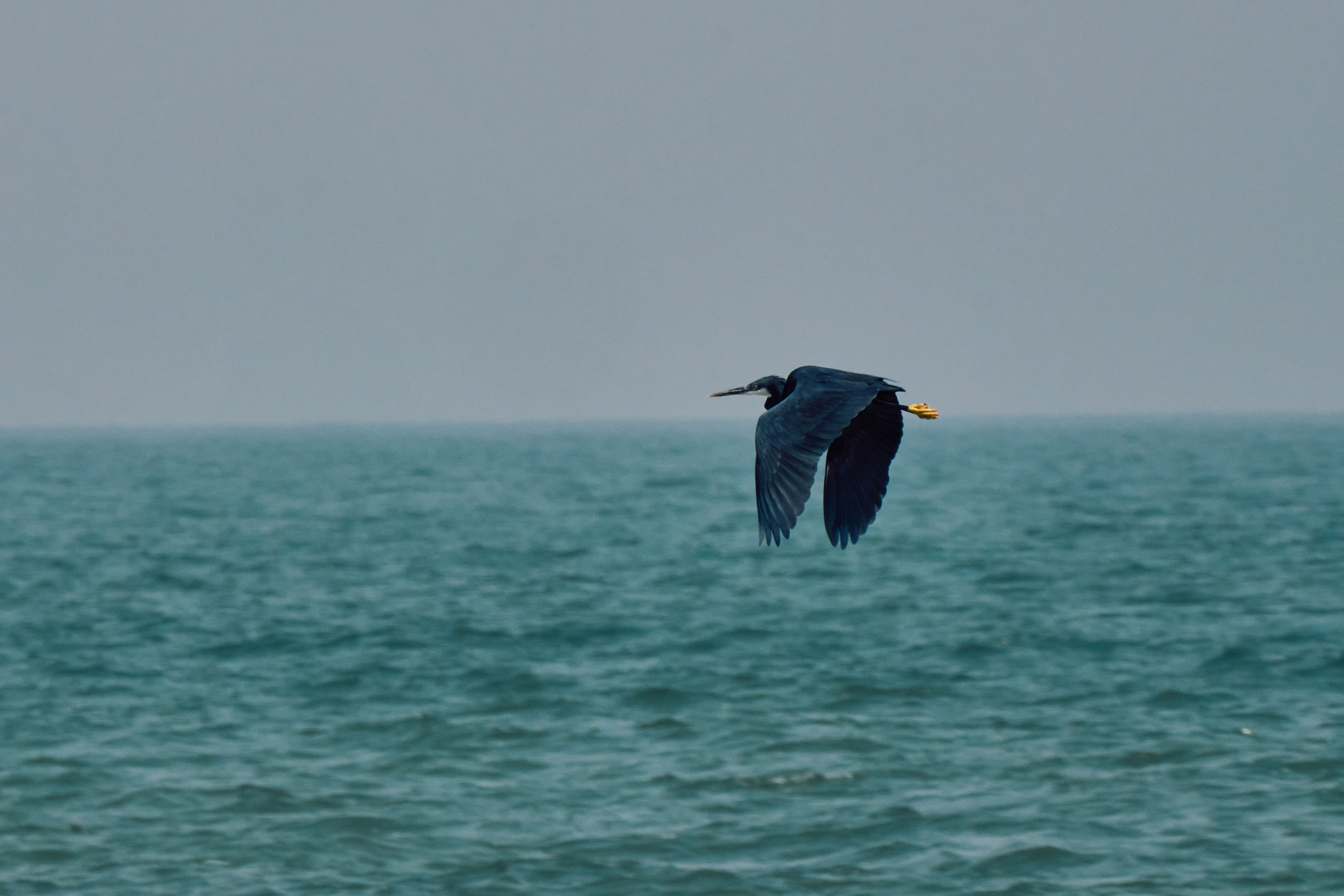 Archipelago Bissagos. See the moment and catche. commercial and reportage