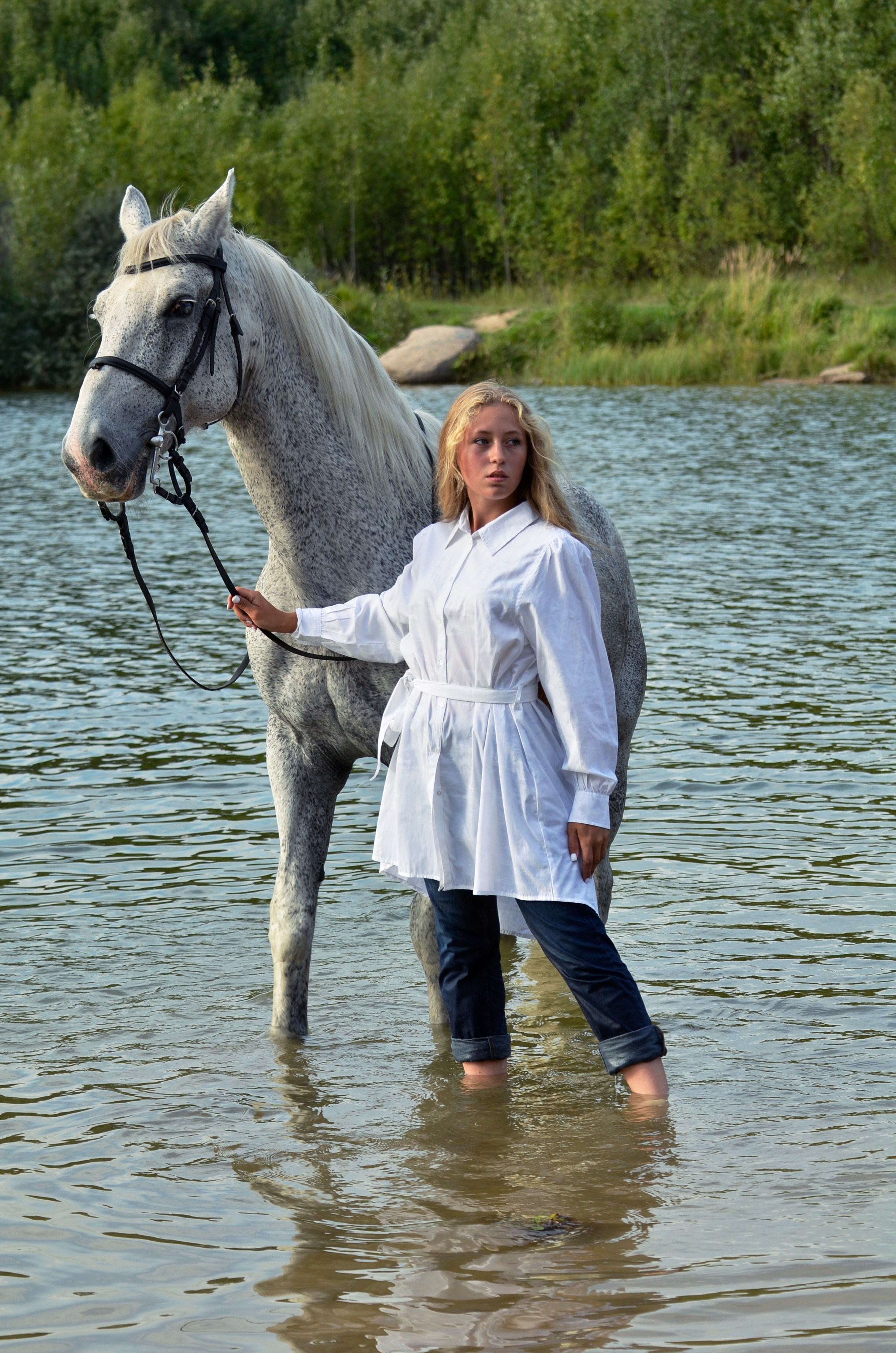 Лошади. Фотограф анималист