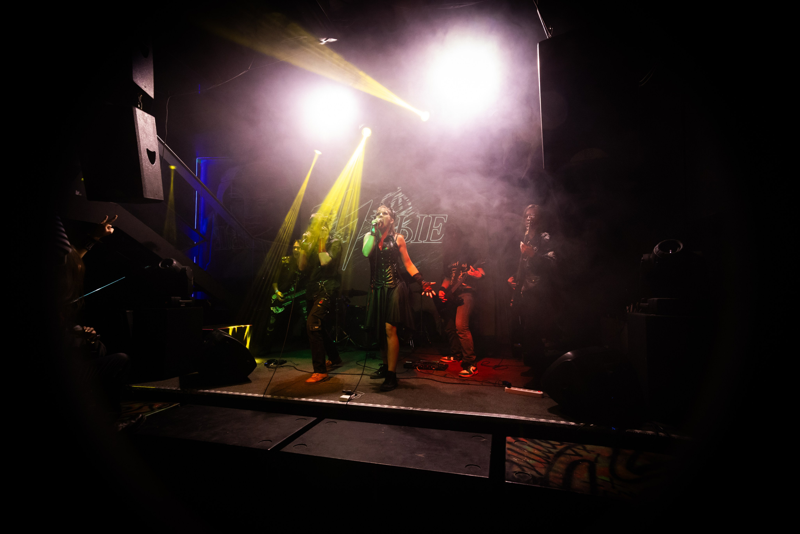 Иные. Rock night, клуб-галерея Эрмитаж. 15.11.2024. Фотограф Регина Крикунова г. Красноярск