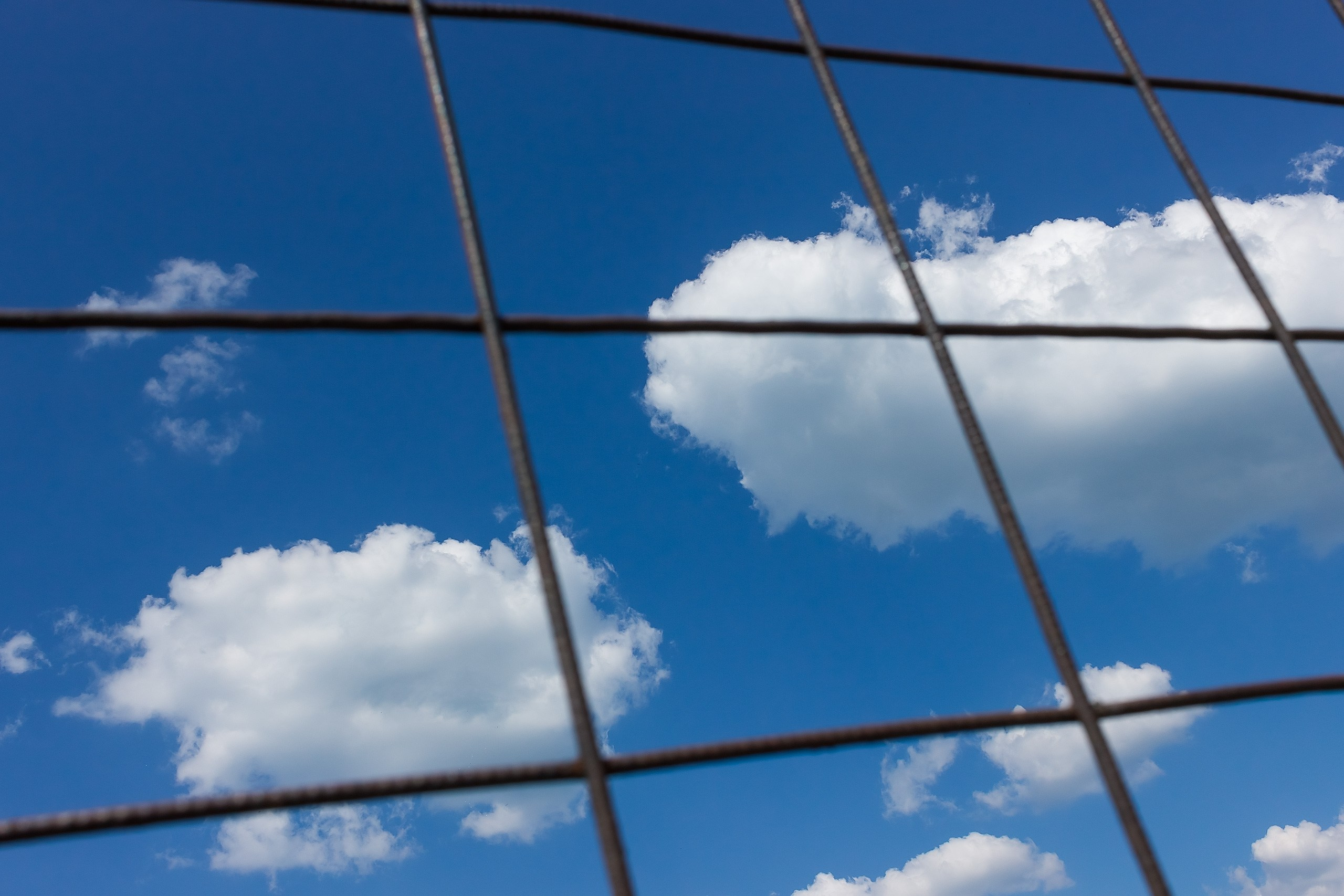 Границы и Рамки. Аmat Victoria Сuram