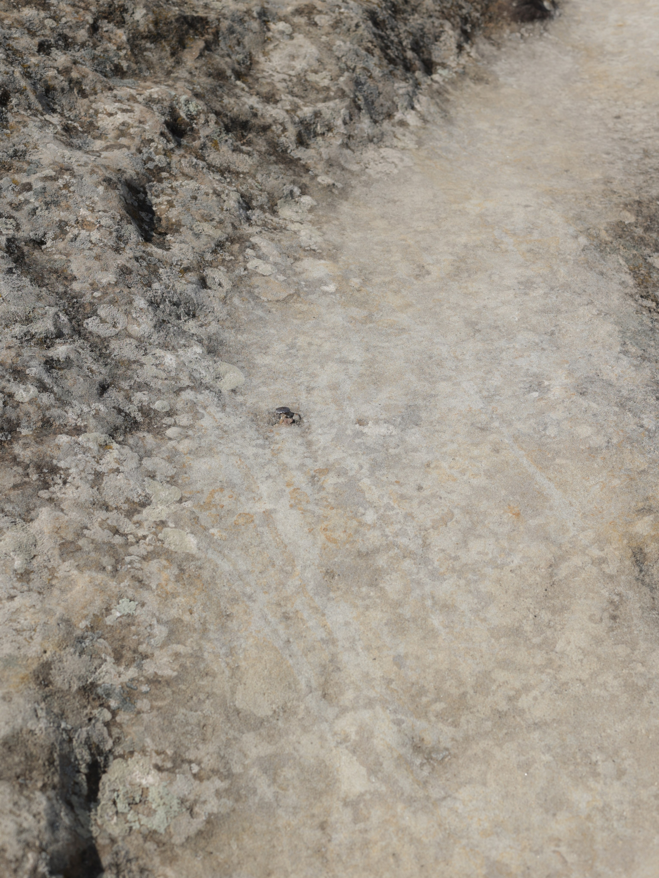 Photographer Tanya Haurylenka