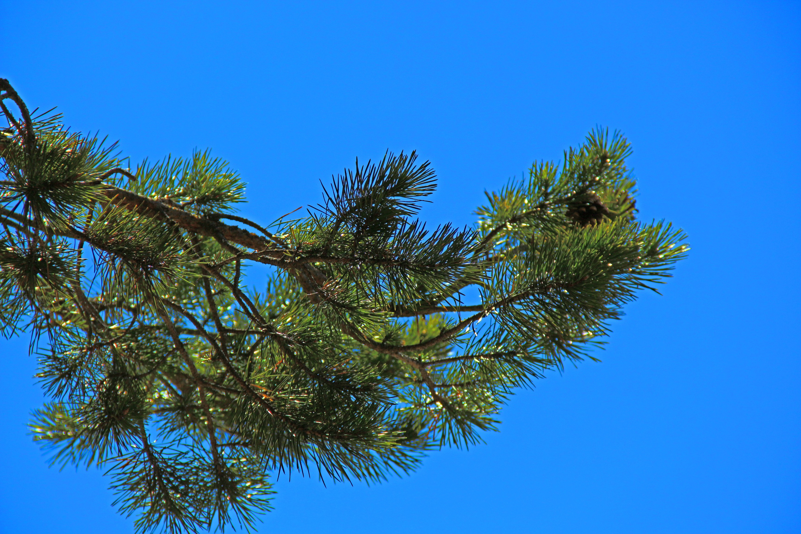 Лучше гор могут быть только горы…. Фотограф из Донецка Александр Турко