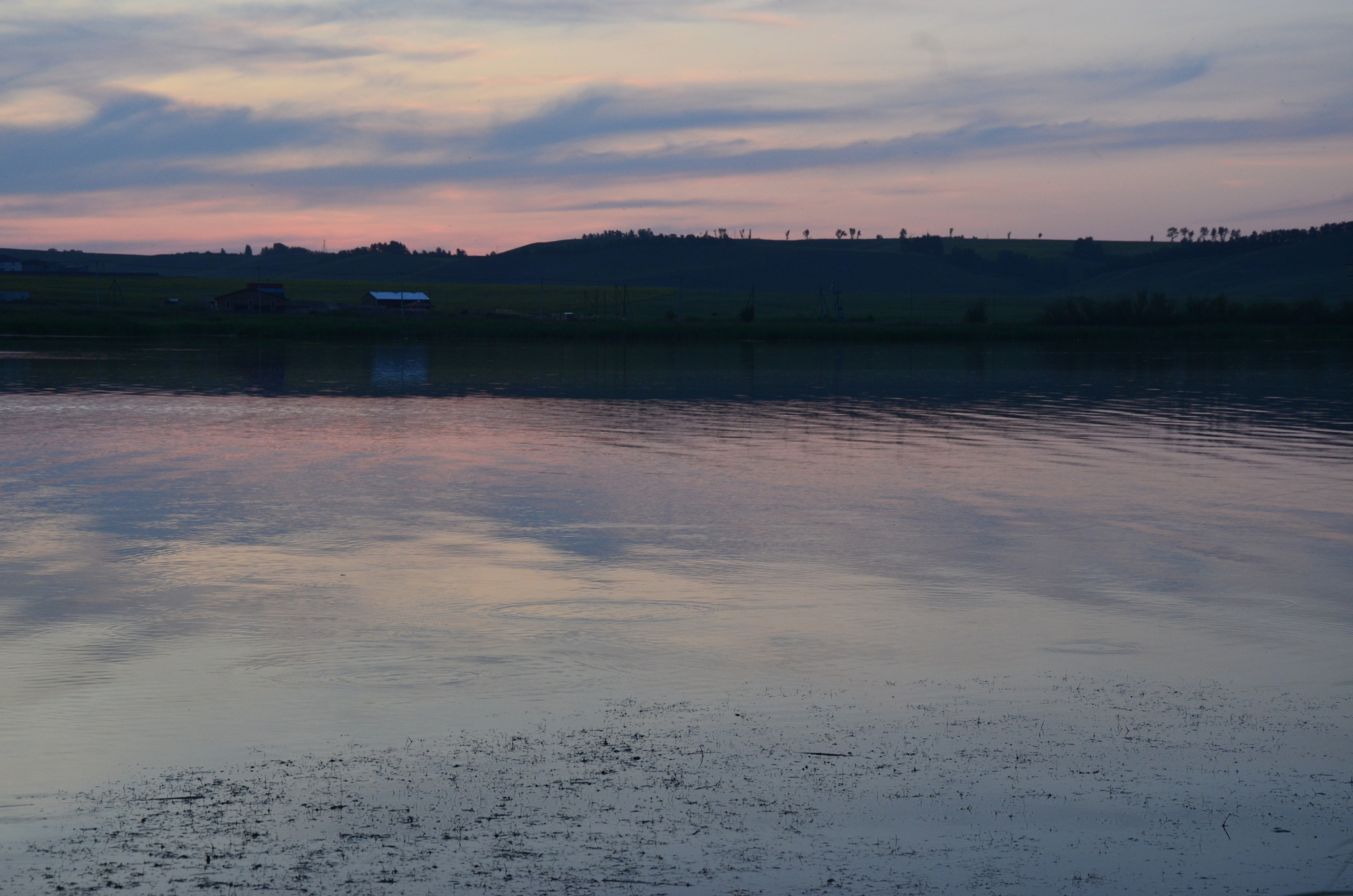 Дары природы. Фотограф viktor viktor