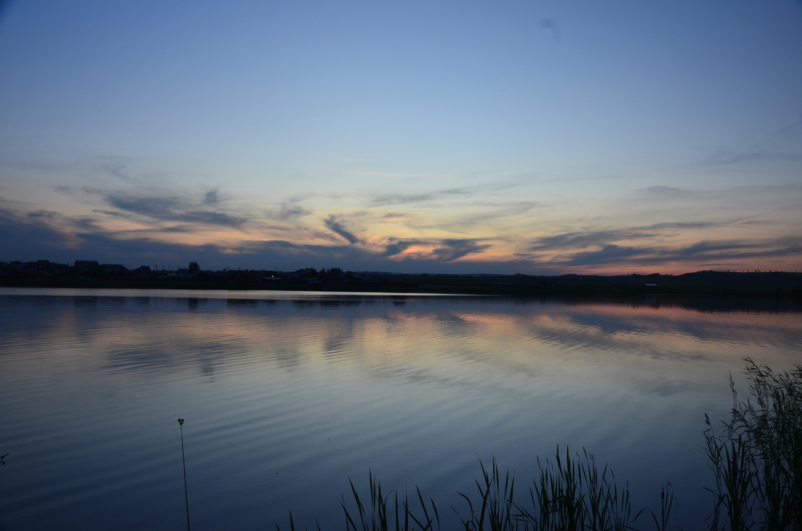 Дары природы. Фотограф viktor viktor