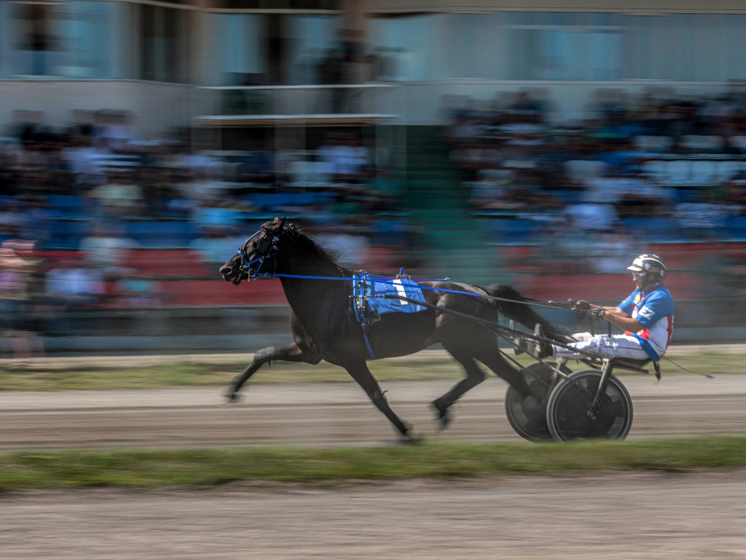 Зарисовки Абаканский ипподром 2025. Конный фотограф в Красноярске — Любовь Похабова