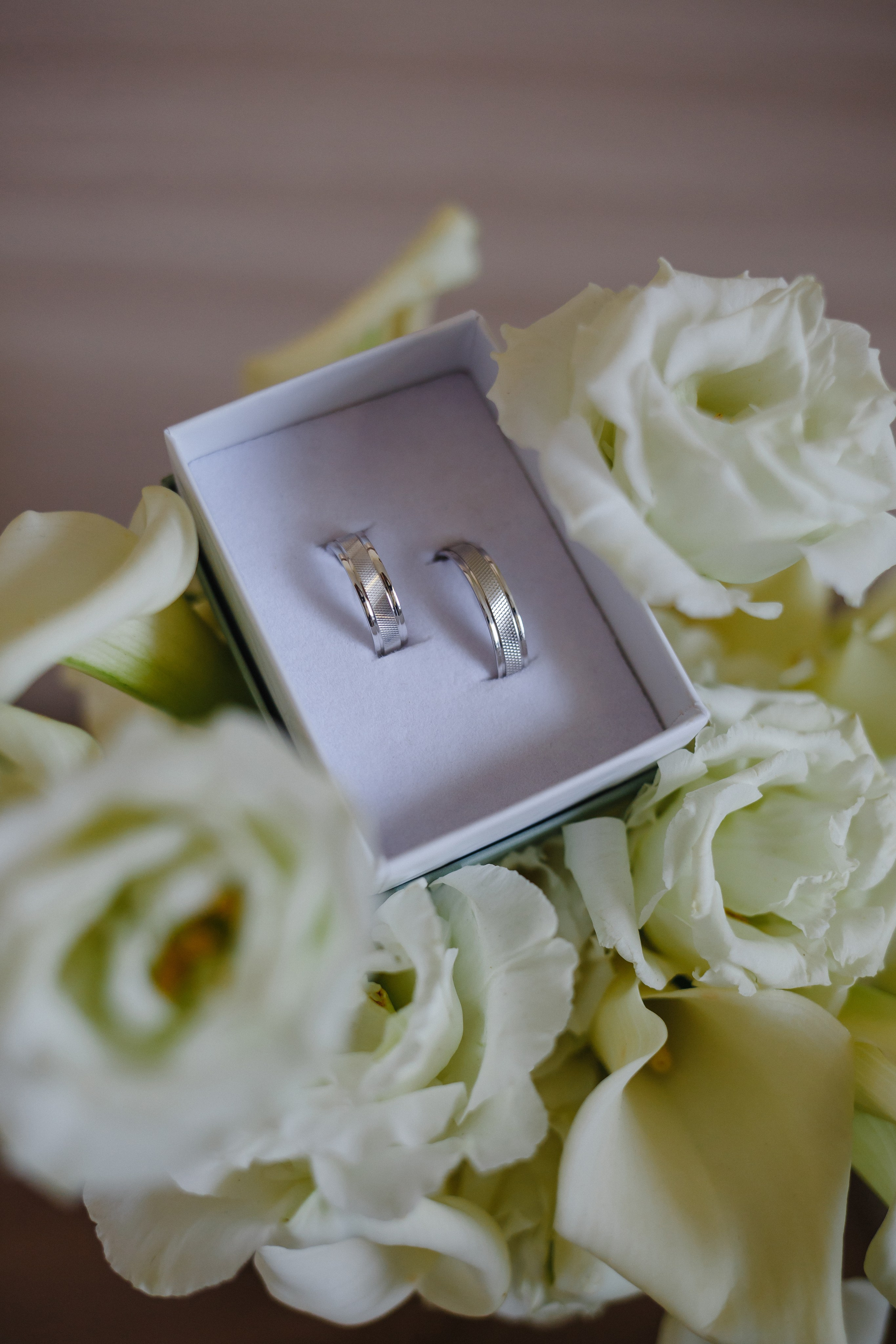 Максим и Светлана. Семейный фотограф Николаева Ольга