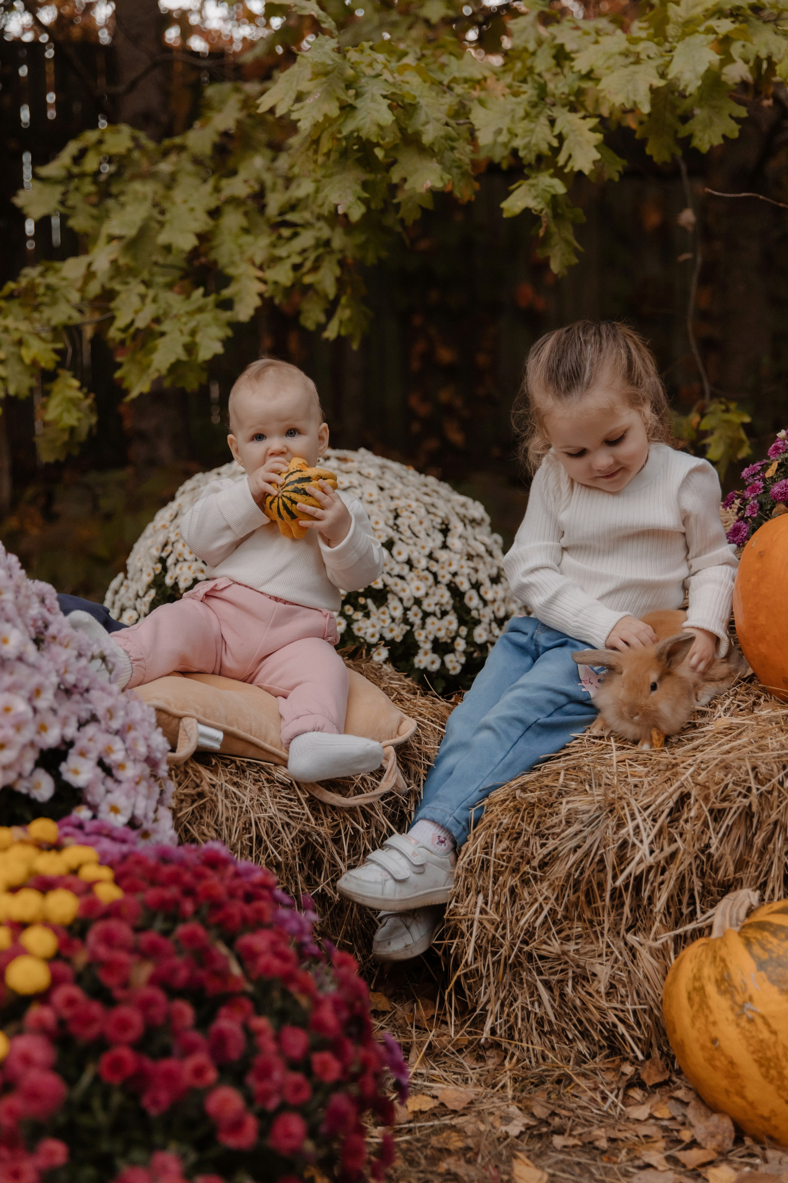 Съемка с кроликами. Семейный и свадебный фотограф в Москве и Зеленограде Пилипенко Юлия