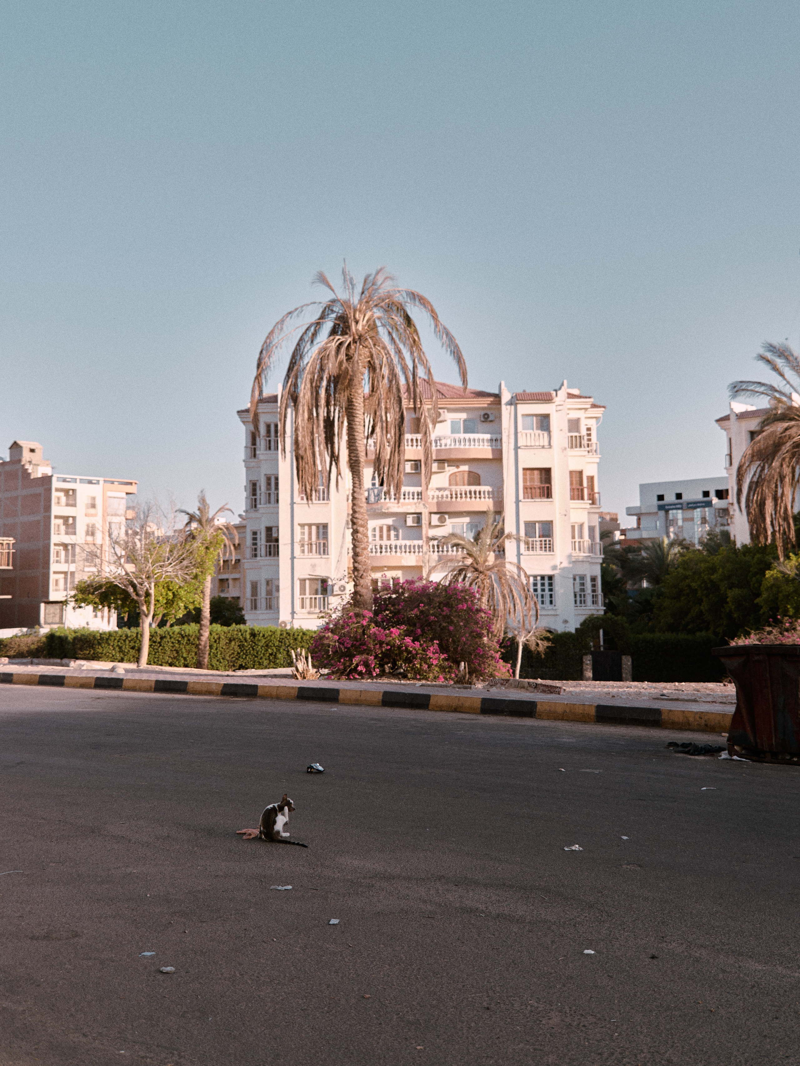 Улицы. Jorgis Talè — photographer, kind person, teacher of arts and other mag