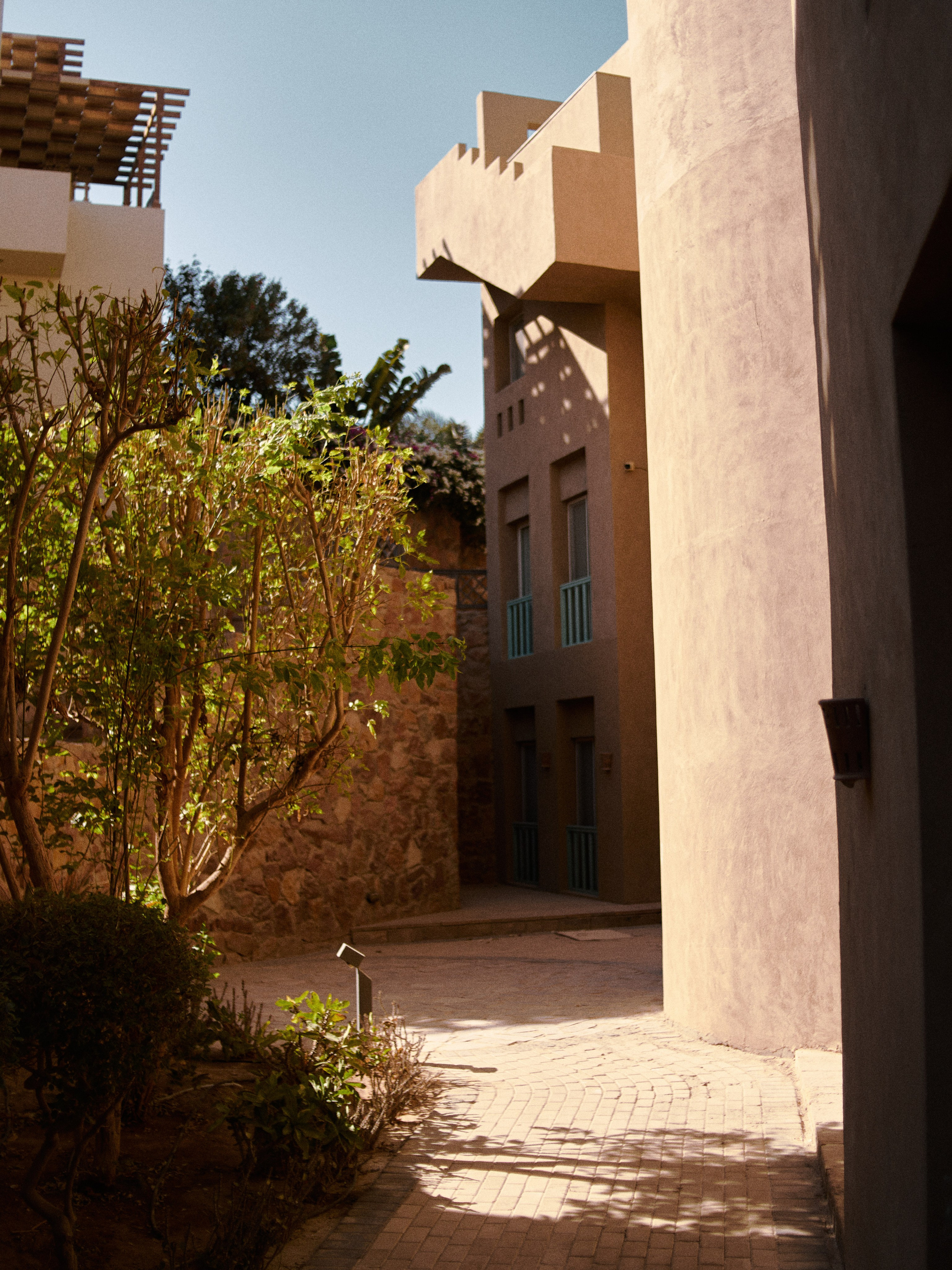 Улицы. Jorgis Talè — photographer, kind person, teacher of arts and other mag